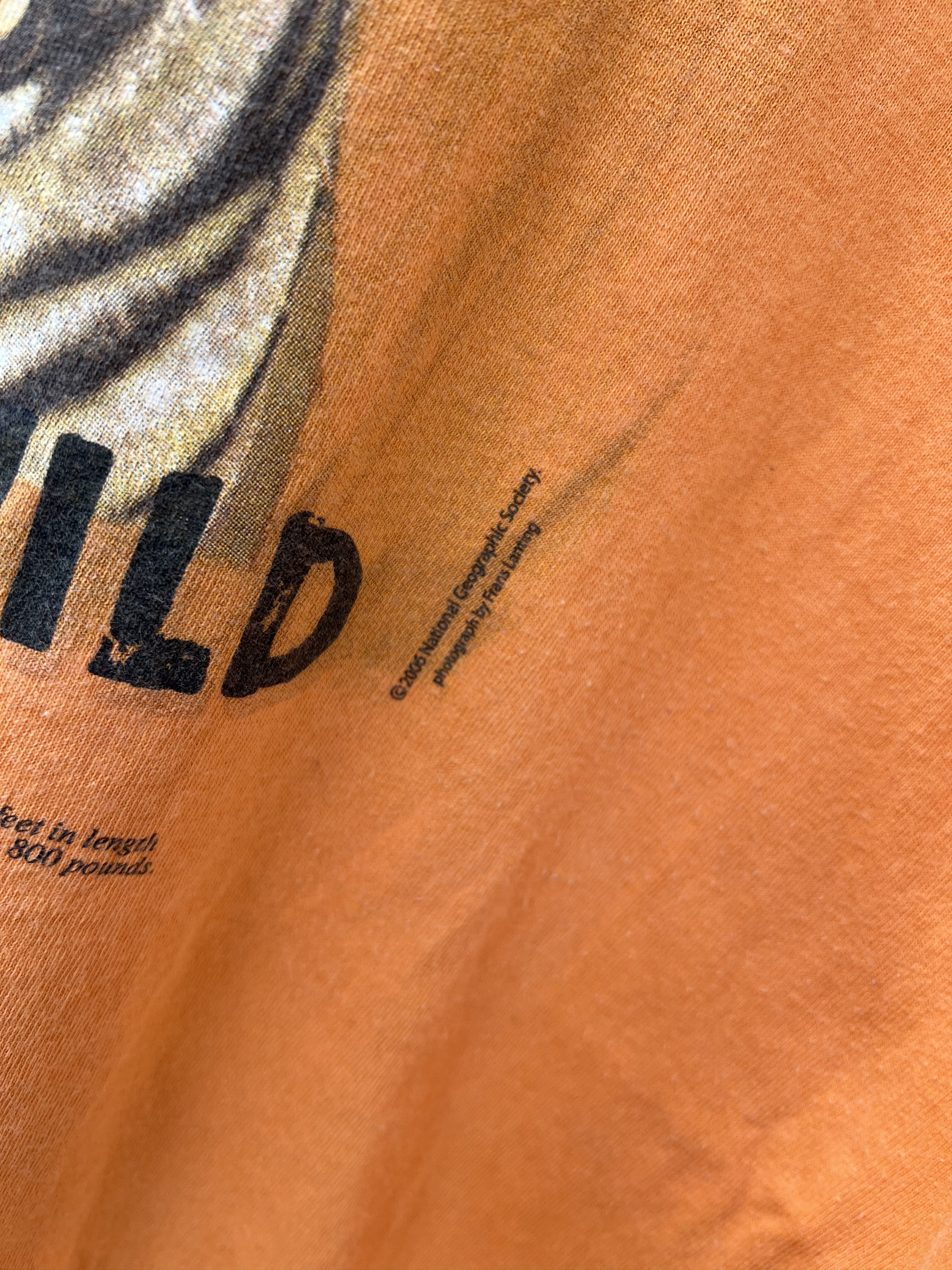Disney 2006 National Geographic Tiger T-Shirt Nat Geo Size US L / EU 52-54 / 3 - 3 Thumbnail