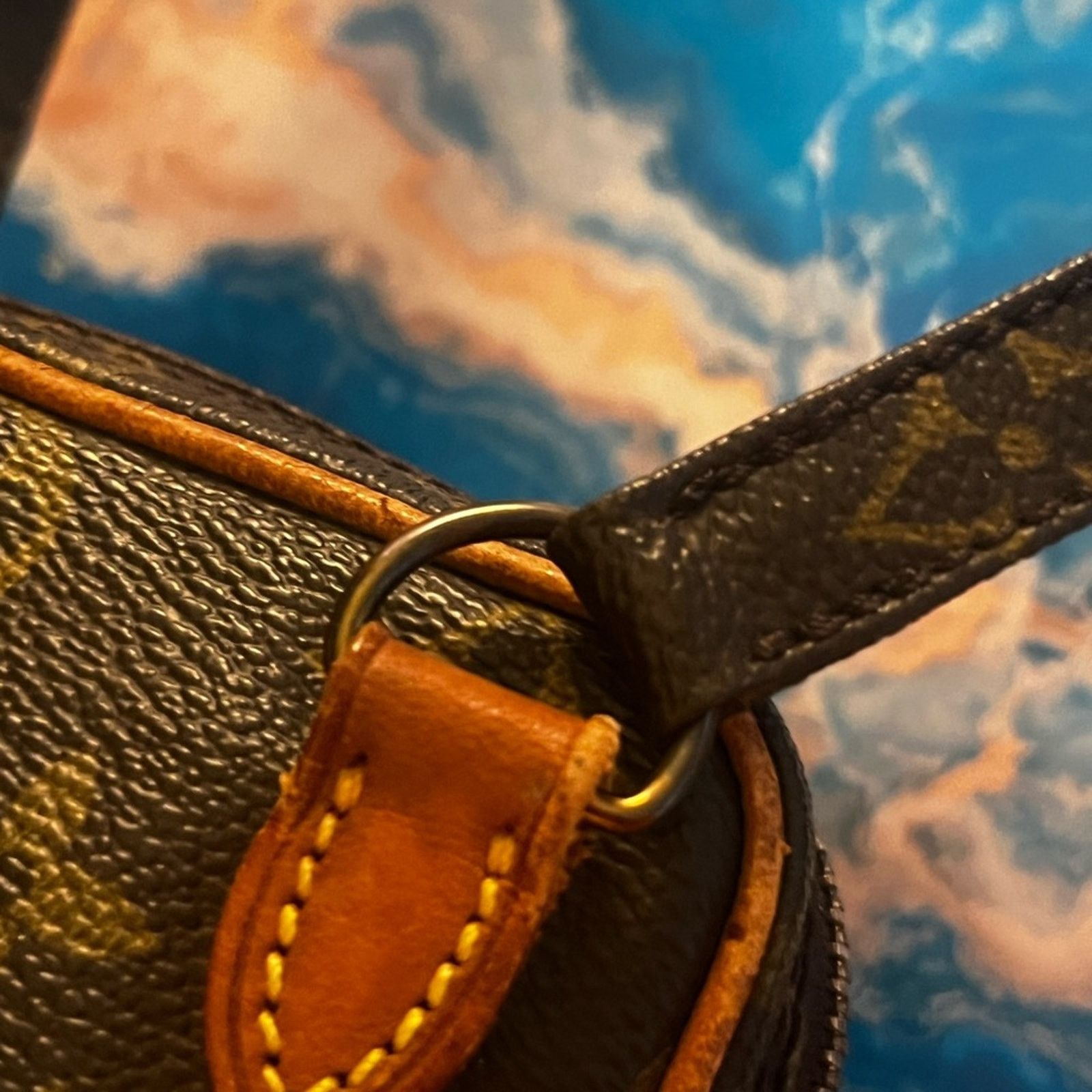 Louis Vuitton Louis Vuitton Amazone crossbody mini - EC, adjustable Size ONE SIZE - 10 Thumbnail