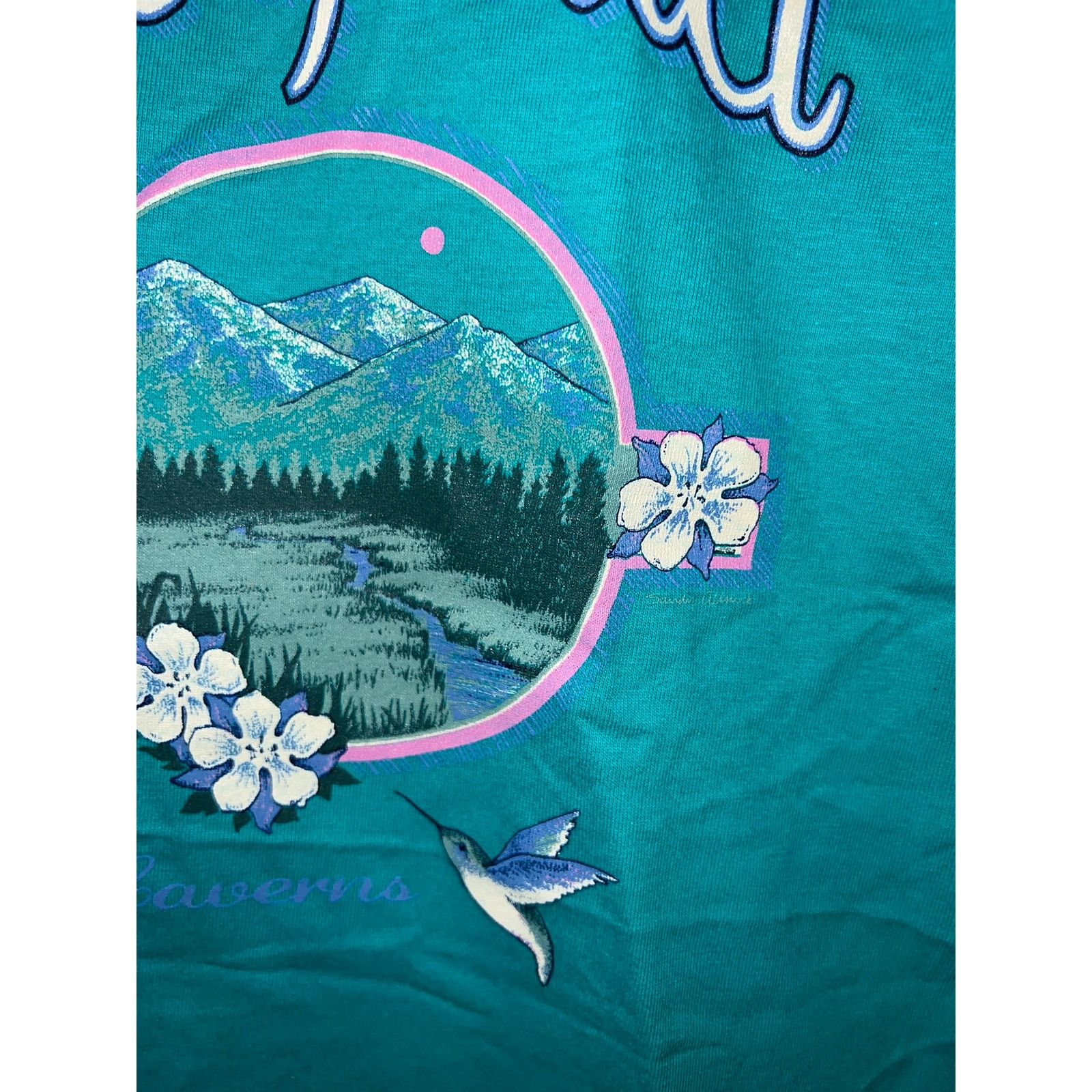 Jerzees Vintage West Virginia Shirt Nature Teal Tee VTG 90s L Size US L / EU 52-54 / 3 - 5 Thumbnail