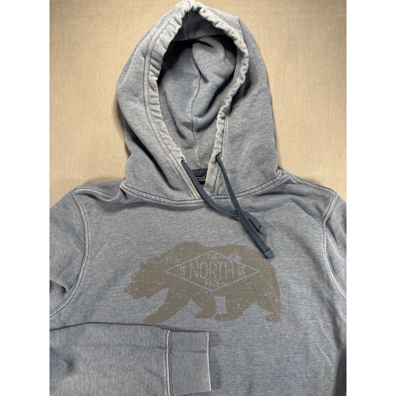 The North Face North Face Pullover Hoodie Mens M Blue Grizzly Bear Graphic Size US M / EU 48-50 / 2 - 1 Thumbnail