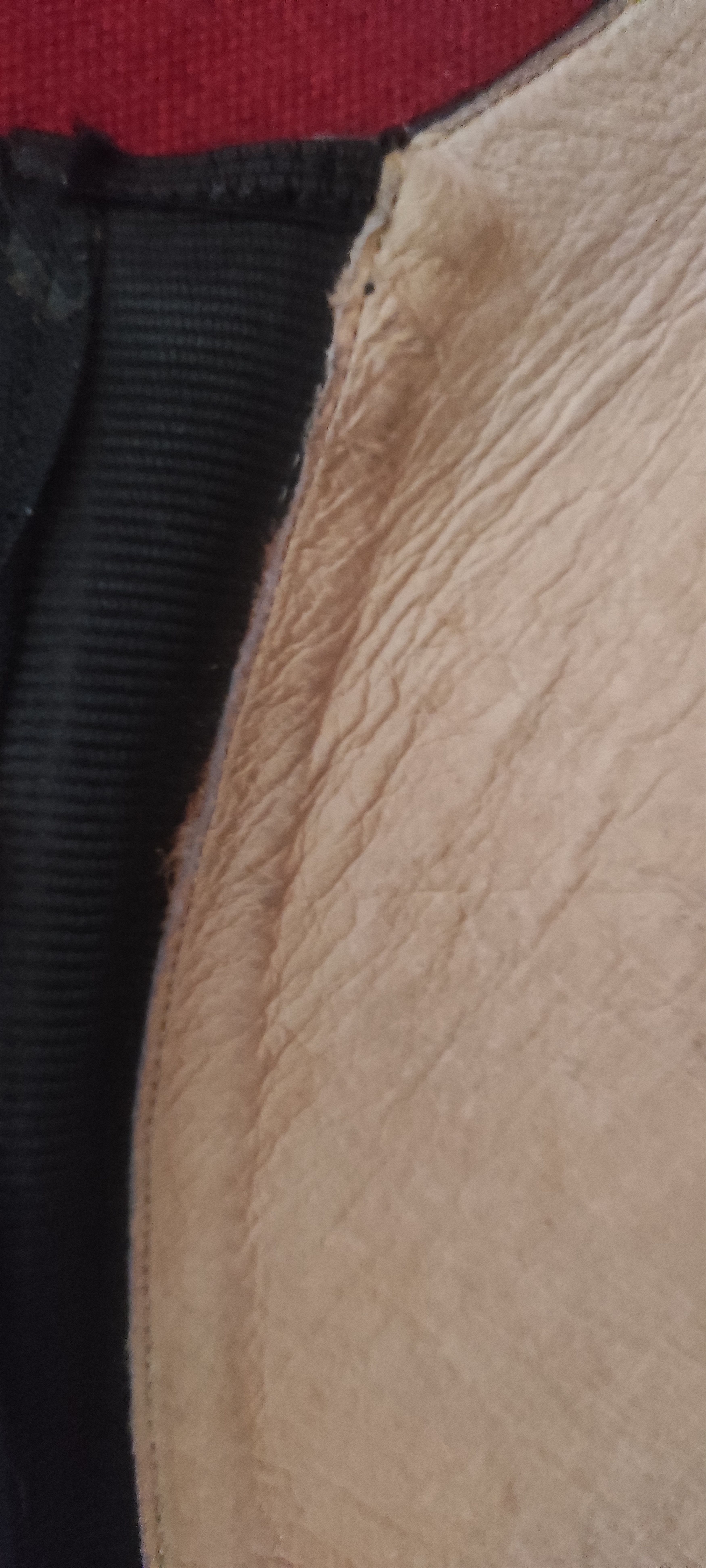 Leather Petrie Genuine Cowhide Leather Chaps Elastic Back Size US 7 / IT 37 - 18 Thumbnail