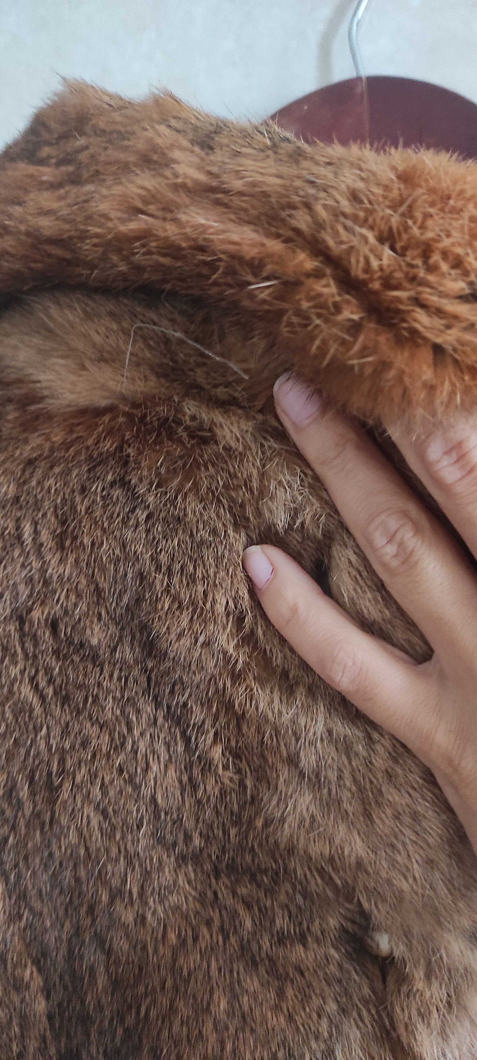 Genuine Leather × Vintage Frylane Paris Genuine Real Rabbit Fur Coat Made In France M Size M / US 6-8 / IT 42-44 - 14 Thumbnail