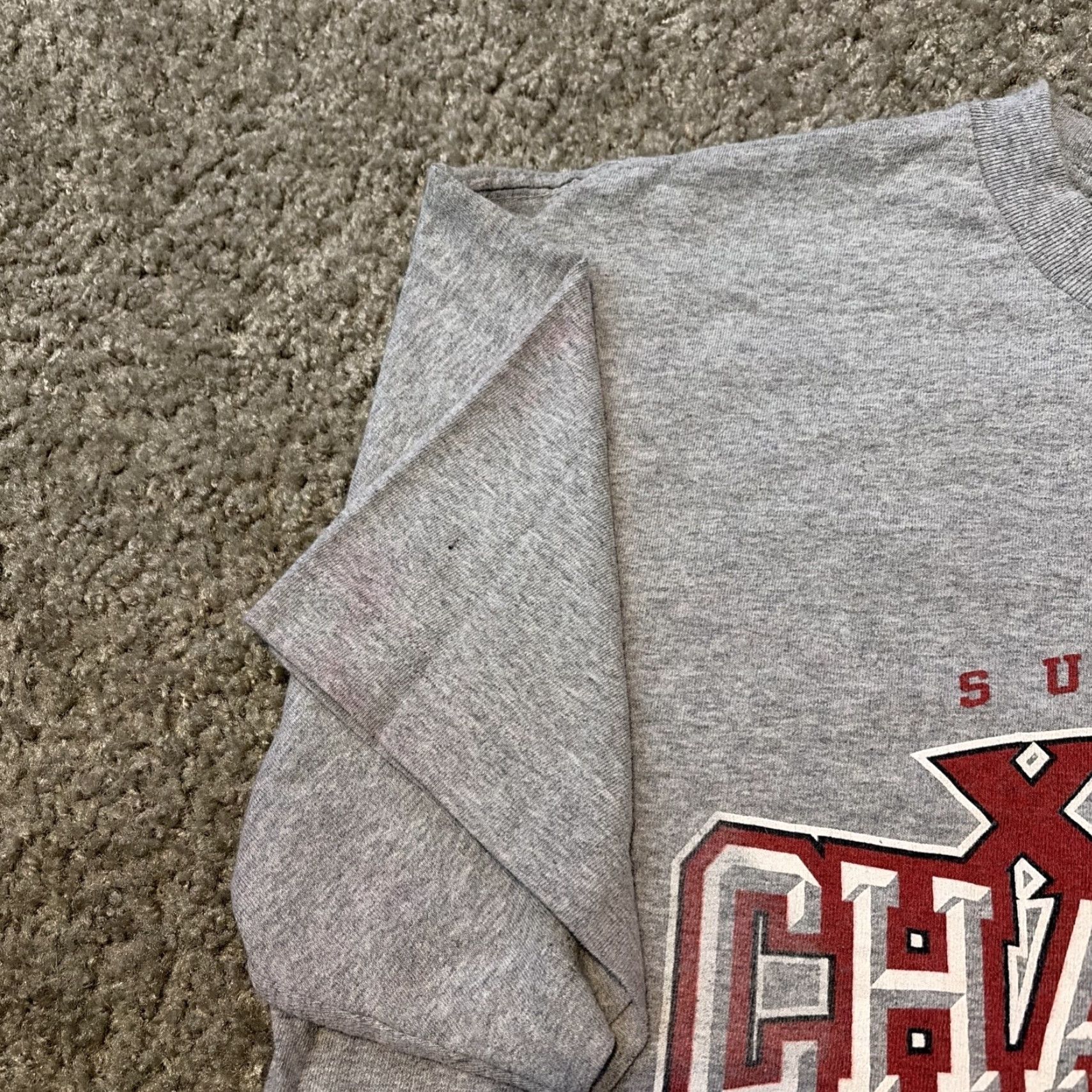 NFL VINTAGE Tampa Bay Buccaneers Super Bowl XXXVII Champs 2003 NFL T-Shirt Large Gray Reebok Mens/Adult L Size US L / EU 52-54 / 3 - 6 Thumbnail