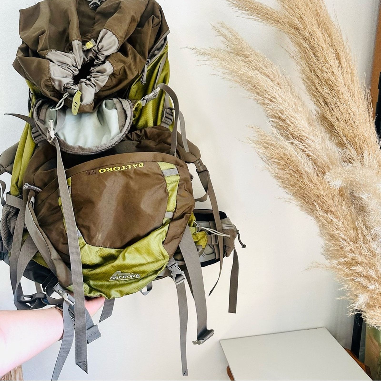 Gregory NEW GREGORY Baltoro 75 Backpacking Pack Moss Green Backpack Size ONE SIZE - 2 Thumbnail