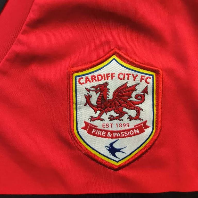 Puma Cardiff City 2012-13 Puma home football jersey size 3XL Size US XXL / EU 58 / 5 - 4 Thumbnail
