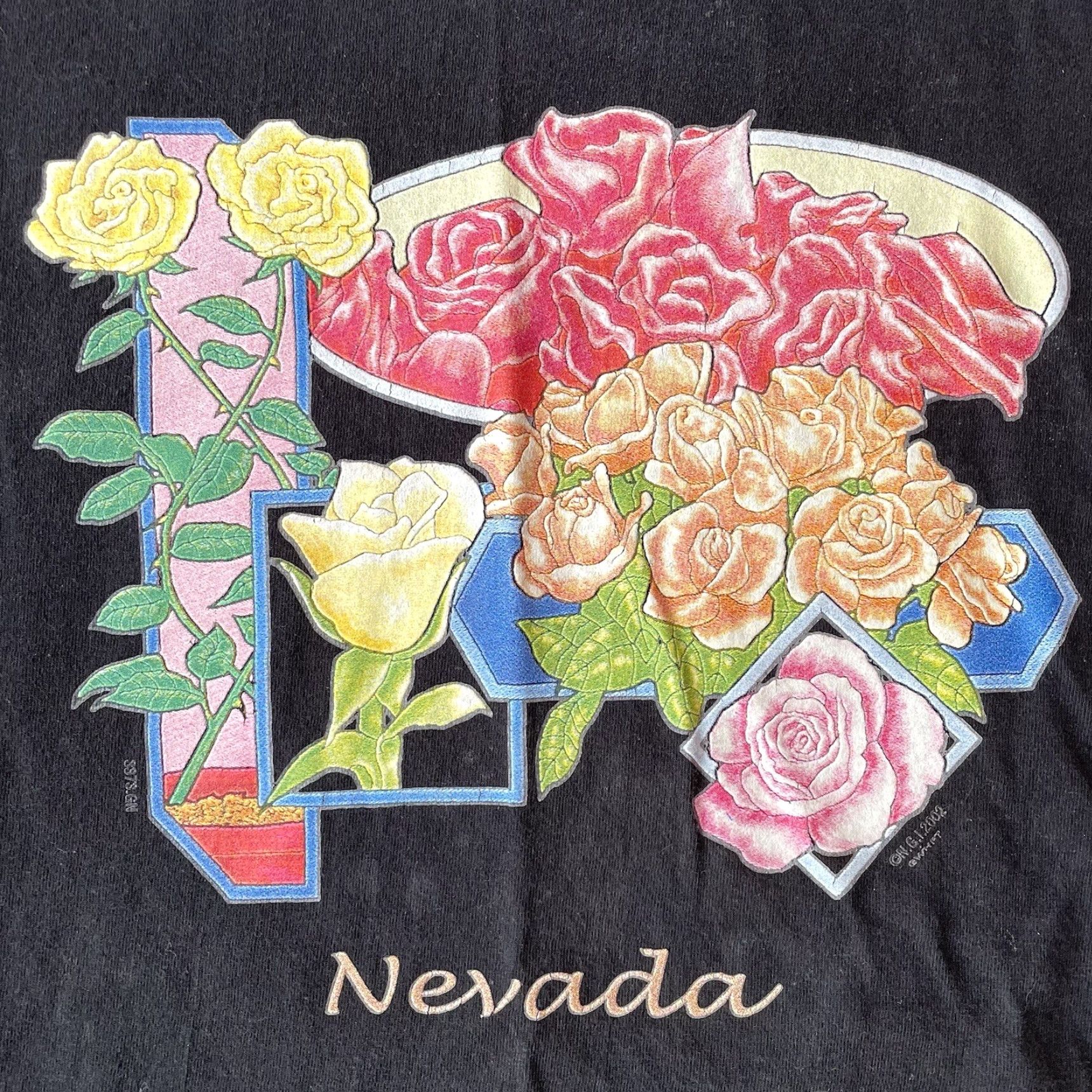 Hanes VINTAGE Hanes Beefy-T Black 3XL T-Shirt Graphic Print Nevada Y2K Tourist T-Shirt Mens 90s USA Southwestern Graphic Print Hanes Beefy-T Size US XXL / EU 58 / 5 - 4 Thumbnail