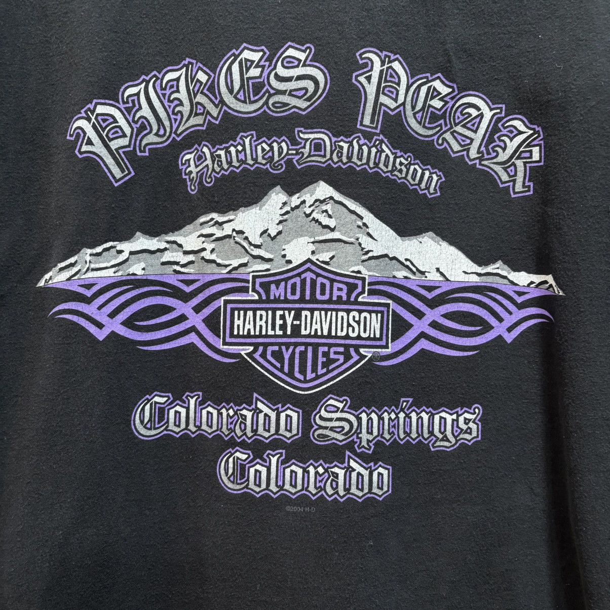 Harley Davidson Y2K Harley Davidson Pike Place Snake LongSleeve Tee Size XL Size US XL / EU 56 / 4 - 4 Thumbnail
