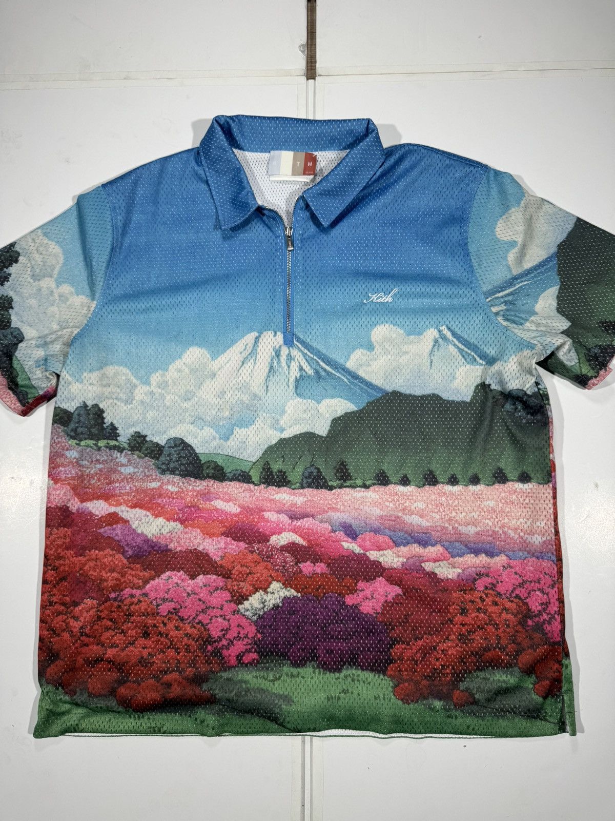 Kith Kith Mountain Graphic Print Jersey Shorts Size US 40 / EU 56 - 11 Thumbnail