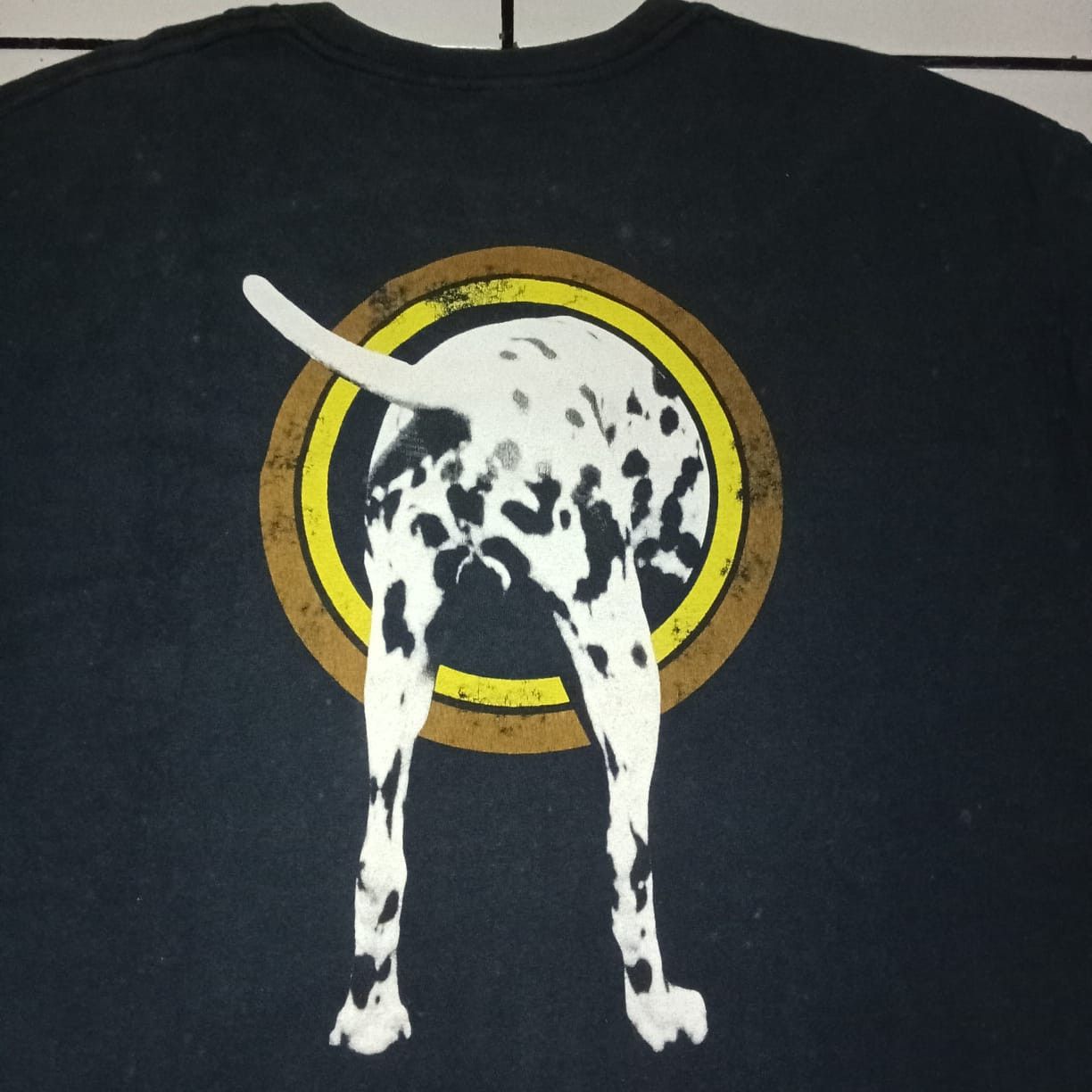 Sublime - dalmation lou dog, long beach tshirt.
