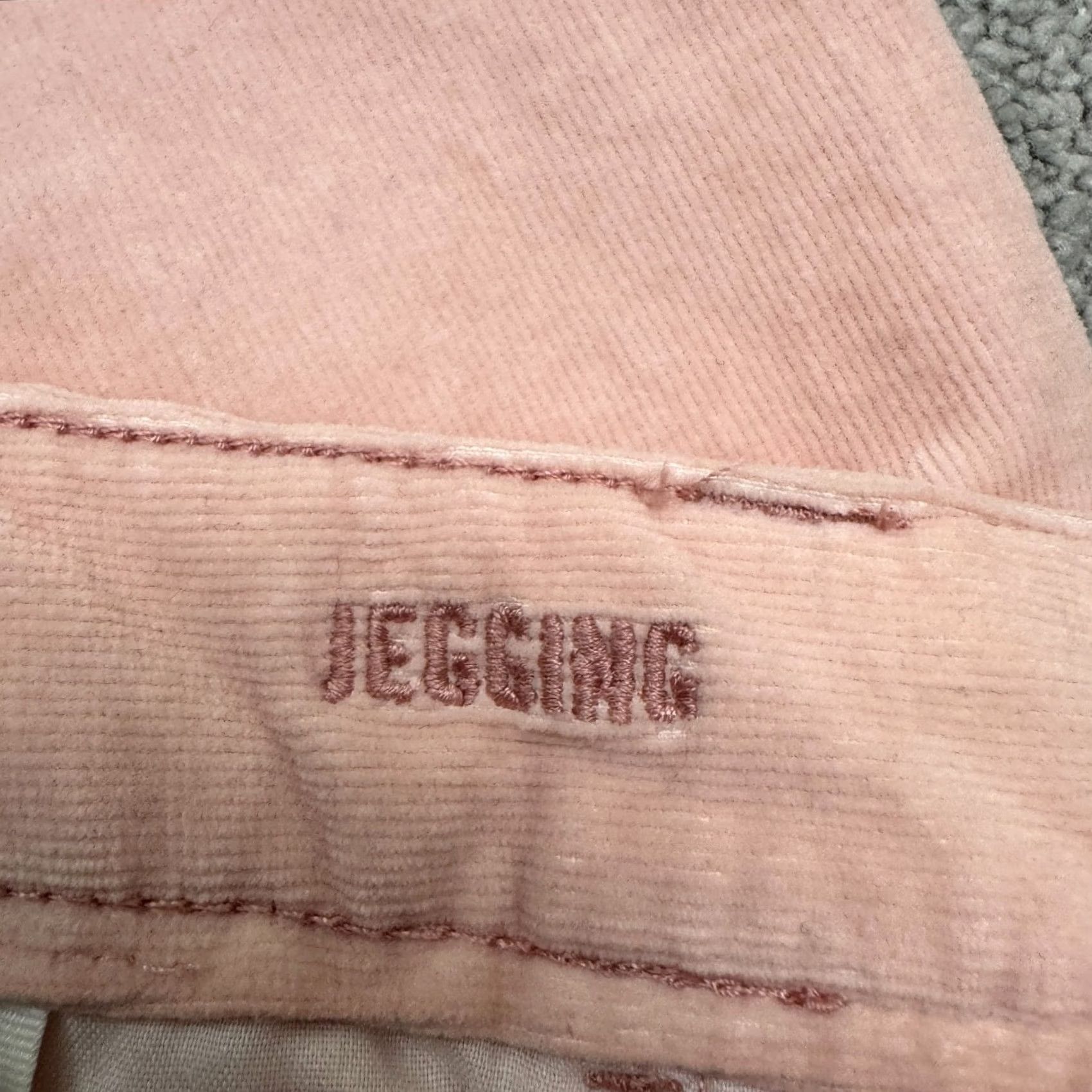 American Eagle Outfitters American Eagle Outfitters Corduroy Jegging Slim Fit Pants 10S Pink Womens Regular 28in Inseam Jumper? Size 32" / US 10 / IT 46 - 6 Thumbnail
