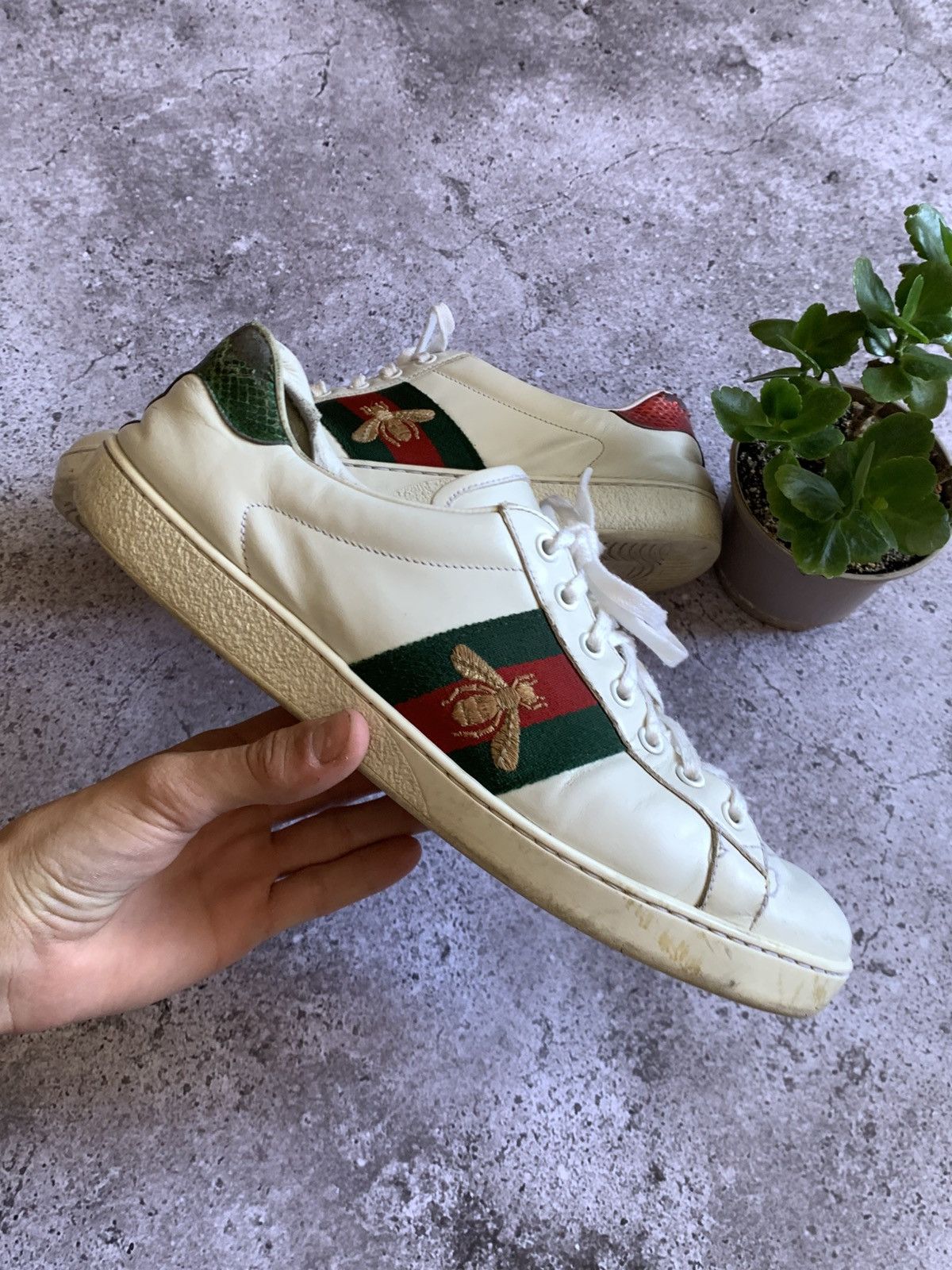 Gucci 🔥GUCCI ACE SNEAKERS Size US 9 / EU 42 - 3 Thumbnail
