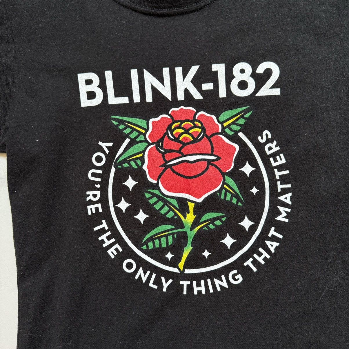 Band Tees × Tultex Blink-182 2017 Tour You’re The Only Thing That Matters Tee Size L / US 10 / IT 46 - 5 Thumbnail