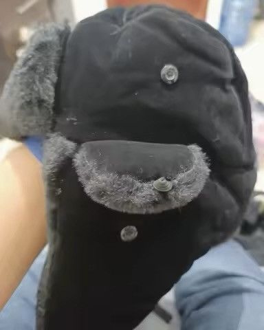 Other Outdoor winter trapper hat Size ONE SIZE - 8 Thumbnail