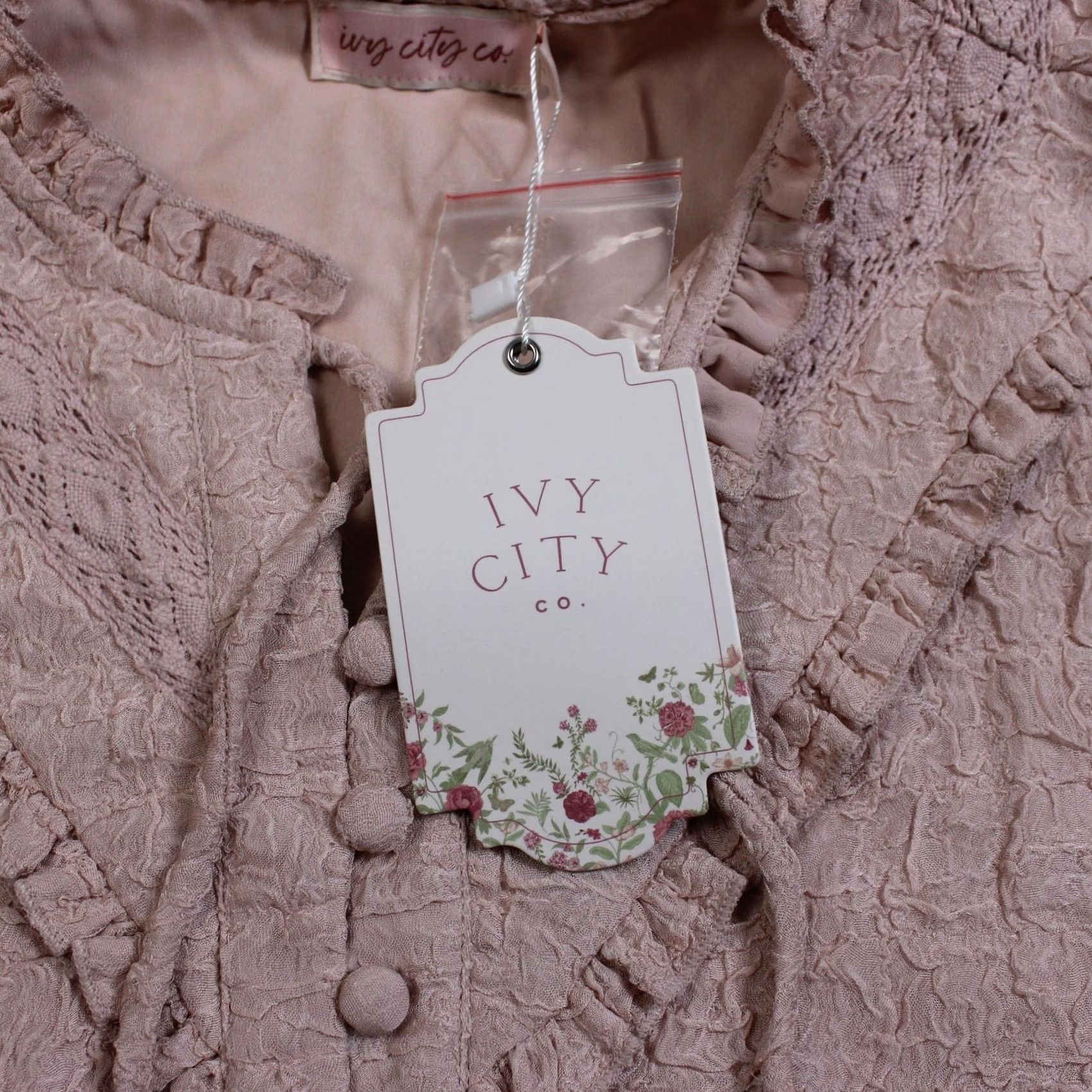 CO VINTAGE Ivy City Co Jace Shirt Women Large Pink Lace Ruffle Balloon Sleeve Boho Romantic Size L / US 10 / IT 46 - 4 Thumbnail