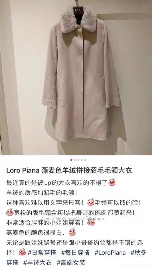 Loro Piana Loro Piana Cashmere and Mink Fur Coat Size S / US 4 / IT 40 - 4 Thumbnail