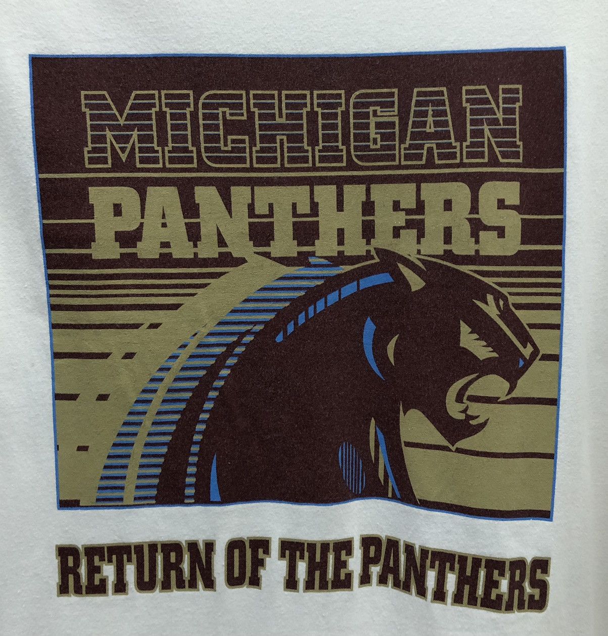 Vintage Fruit Of The Loom Michigan Panthers T-Shirt Size US L / EU 52-54 / 3 - 3 Thumbnail