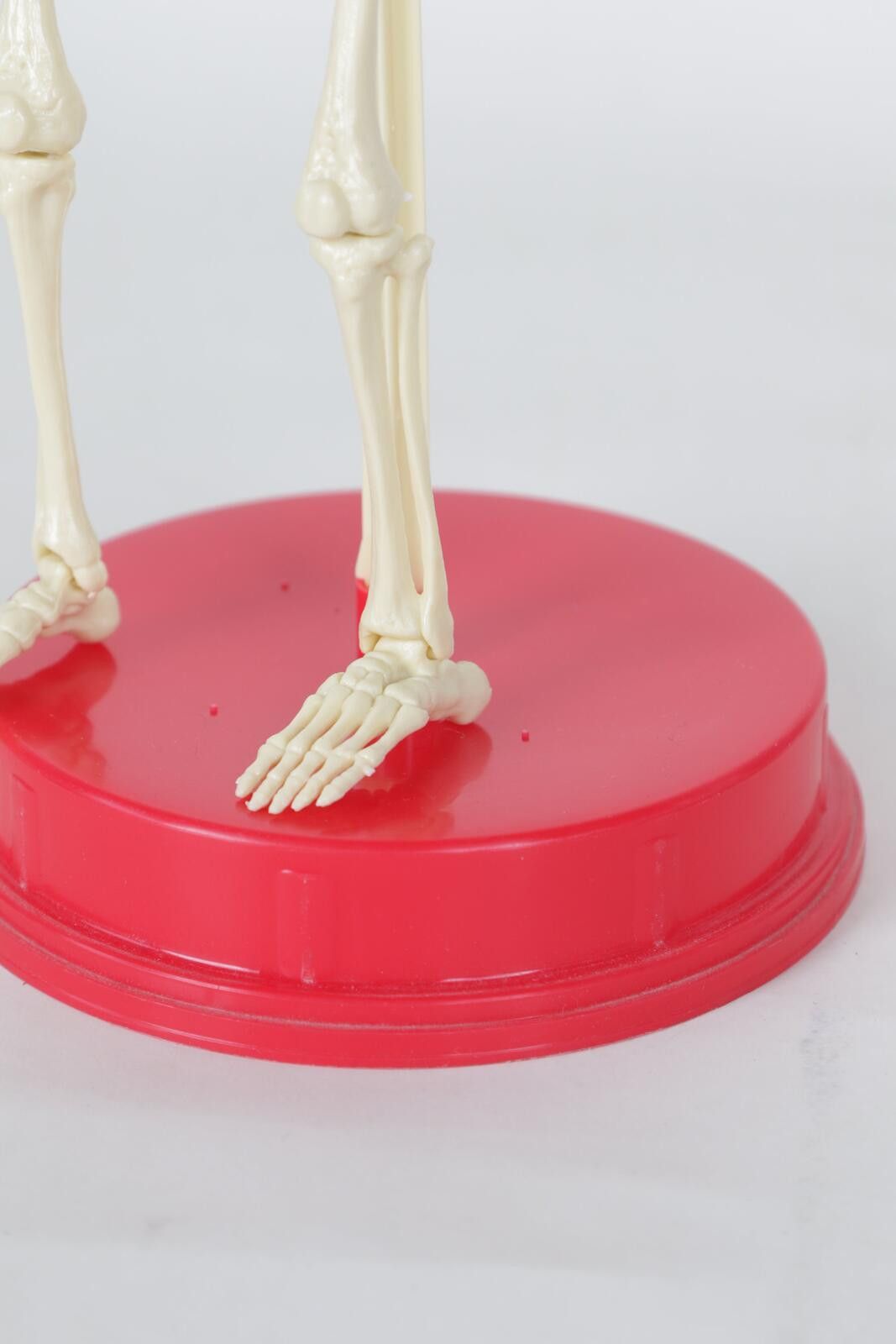 Genetic Manipulation Shinichiro Kuriya 1991' Human Skeleton Model Size ONE SIZE - 3 Thumbnail