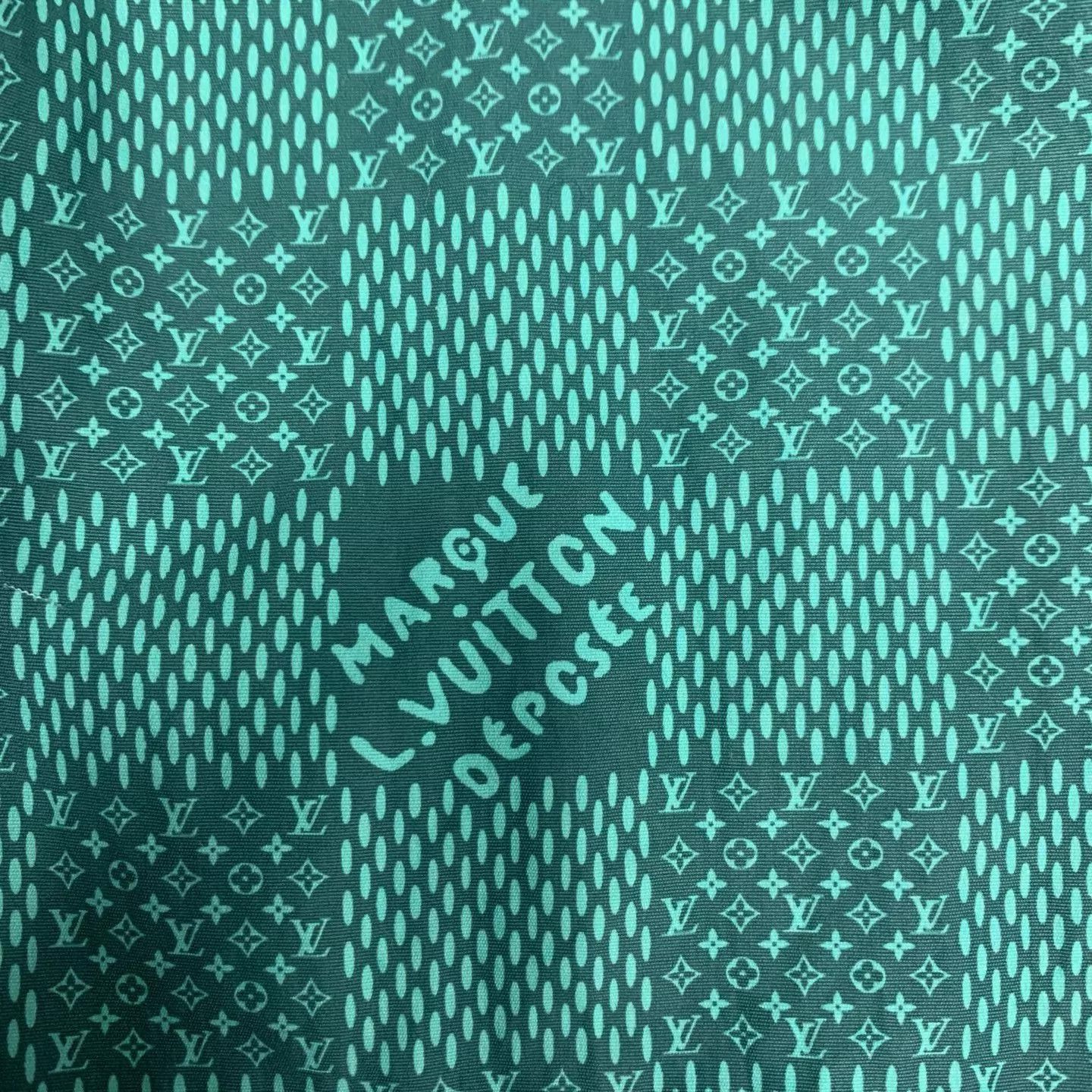 Louis Vuitton LV Green Checkerboard Shorts M New with tags Size US 32 / EU 48 - 7 Thumbnail