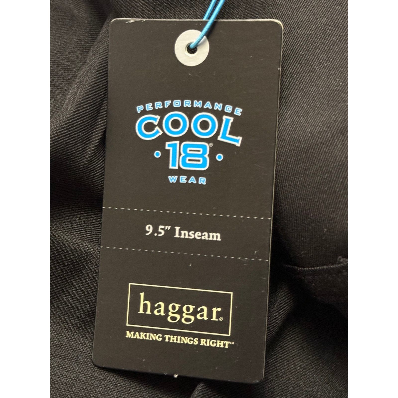 Haggar Haggar Cool 18 Pleated Performance Shorts 38 9.5” Inseam NWT Size US 38 / EU 54 - 4 Thumbnail