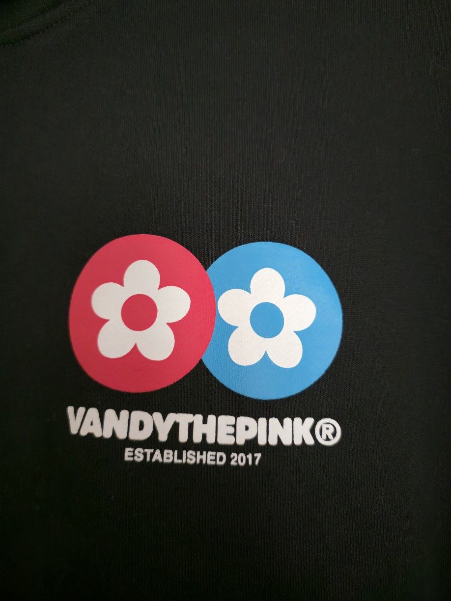 Vandy The Pink Vandy The Pink PLUSLE & MINUN HOODIE Size US XXL / EU 58 / 5 - 3 Thumbnail