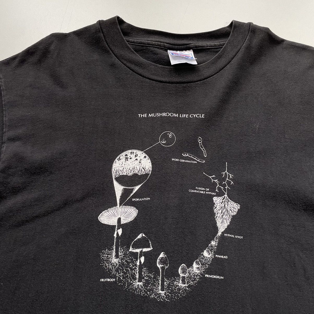 Vintage Vintage 90s The Mushroom Life Cycle Art Graphic T Shirt Rare Size US L / EU 52-54 / 3 - 2 Thumbnail