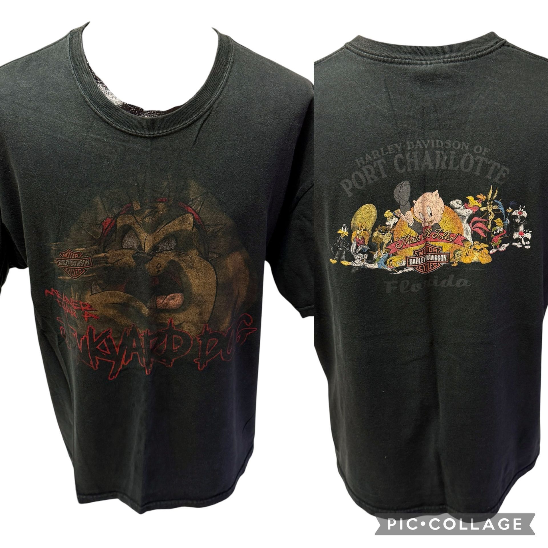 Harley Davidson 90s Meaner Than A JUNKYARD DOG Motorcycle Looney Tunes Shirt Size US XL / EU 56 / 4 - 2 Thumbnail