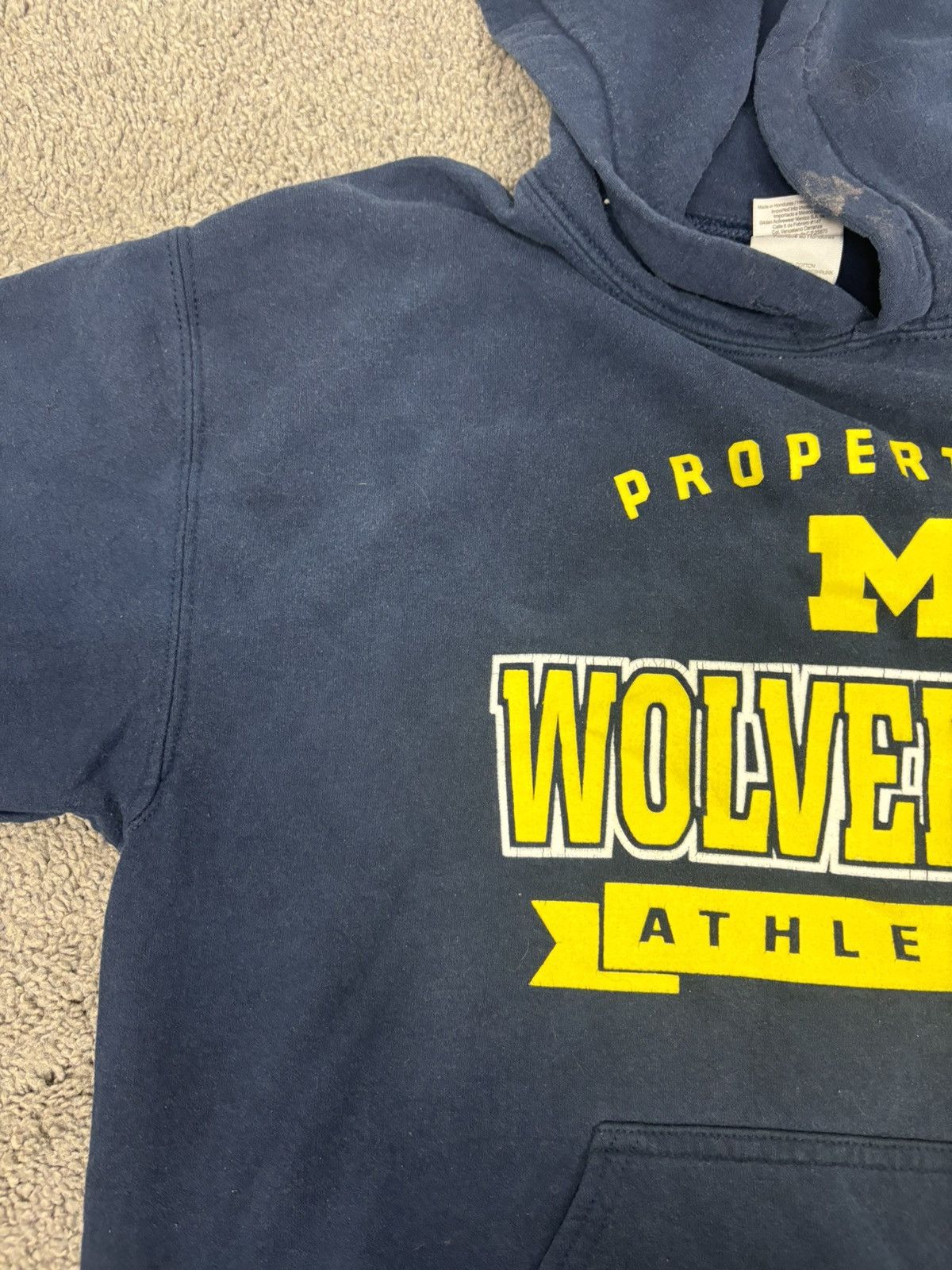 Gildan Y2k u of m property of wolverines maize and blue hoodie Size US M / EU 48-50 / 2 - 2 Thumbnail