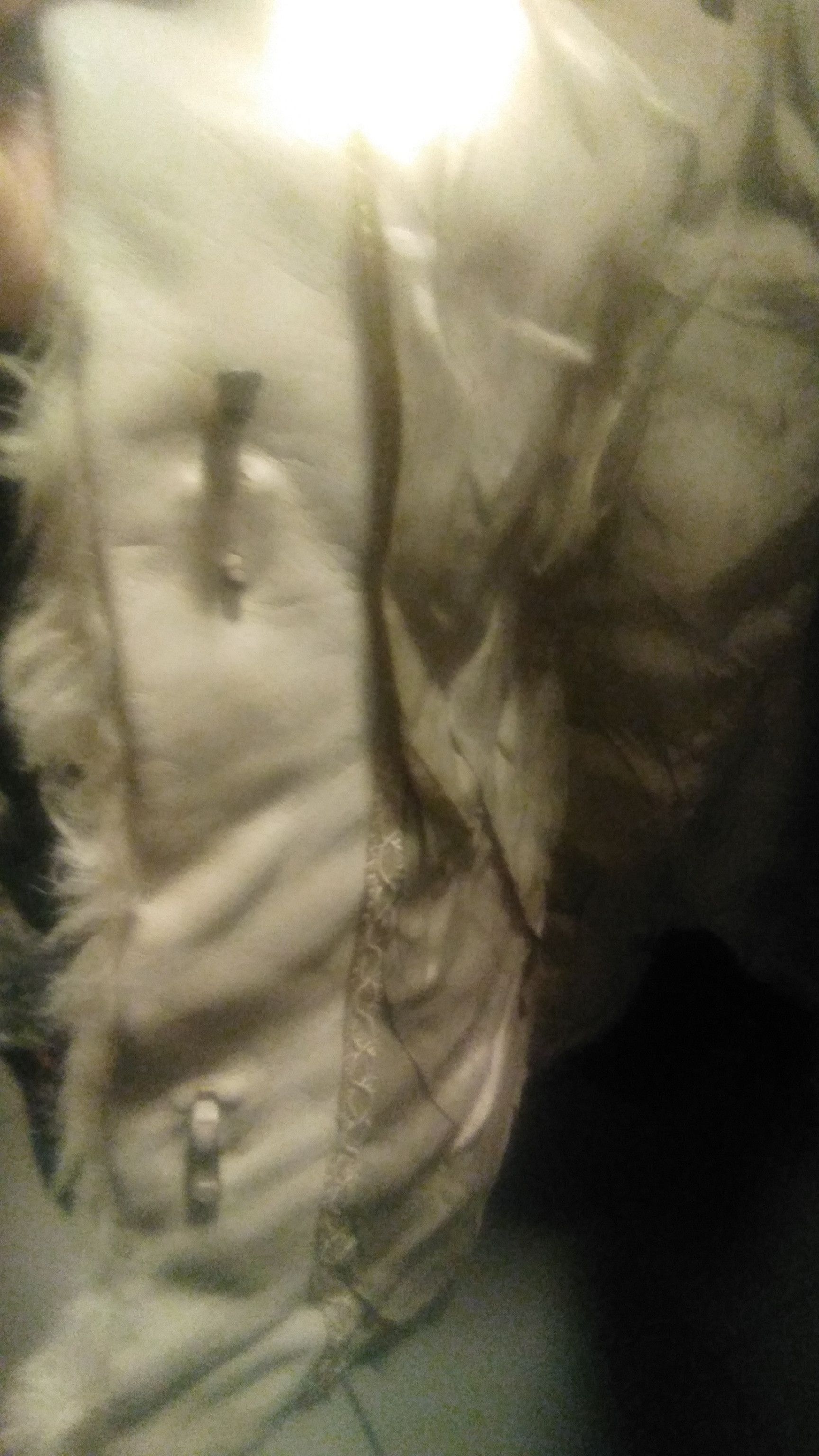 Canali Fur vest. Size L / US 10 / IT 46 - 6 Thumbnail
