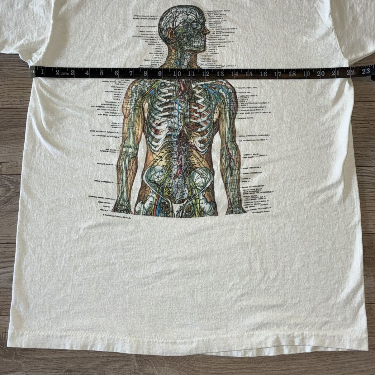 Fruit Of The Loom 90s nervous system anatomy tee Size US XL / EU 56 / 4 - 6 Thumbnail