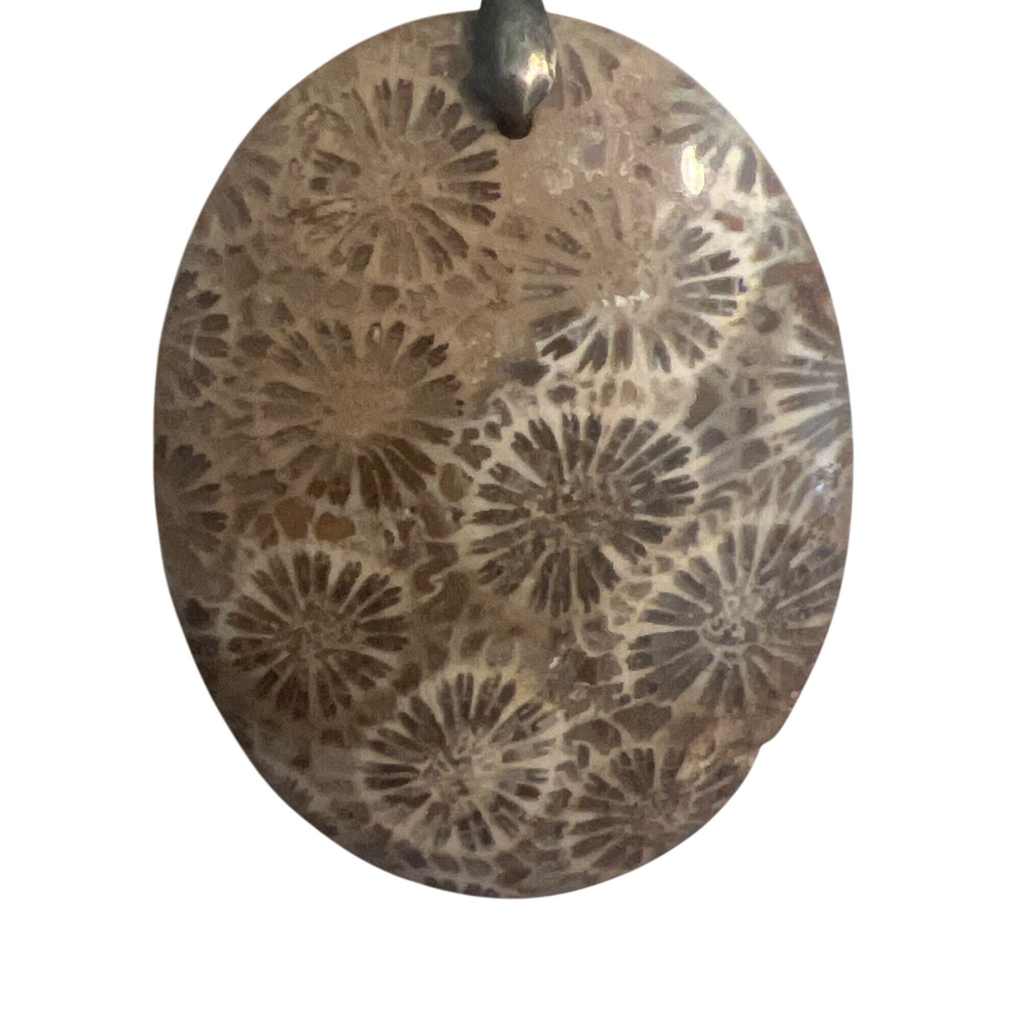 Other Vintage Fossil Coral Pendant Necklace Hematite Smoky Quartz Size ONE SIZE - 2 Thumbnail