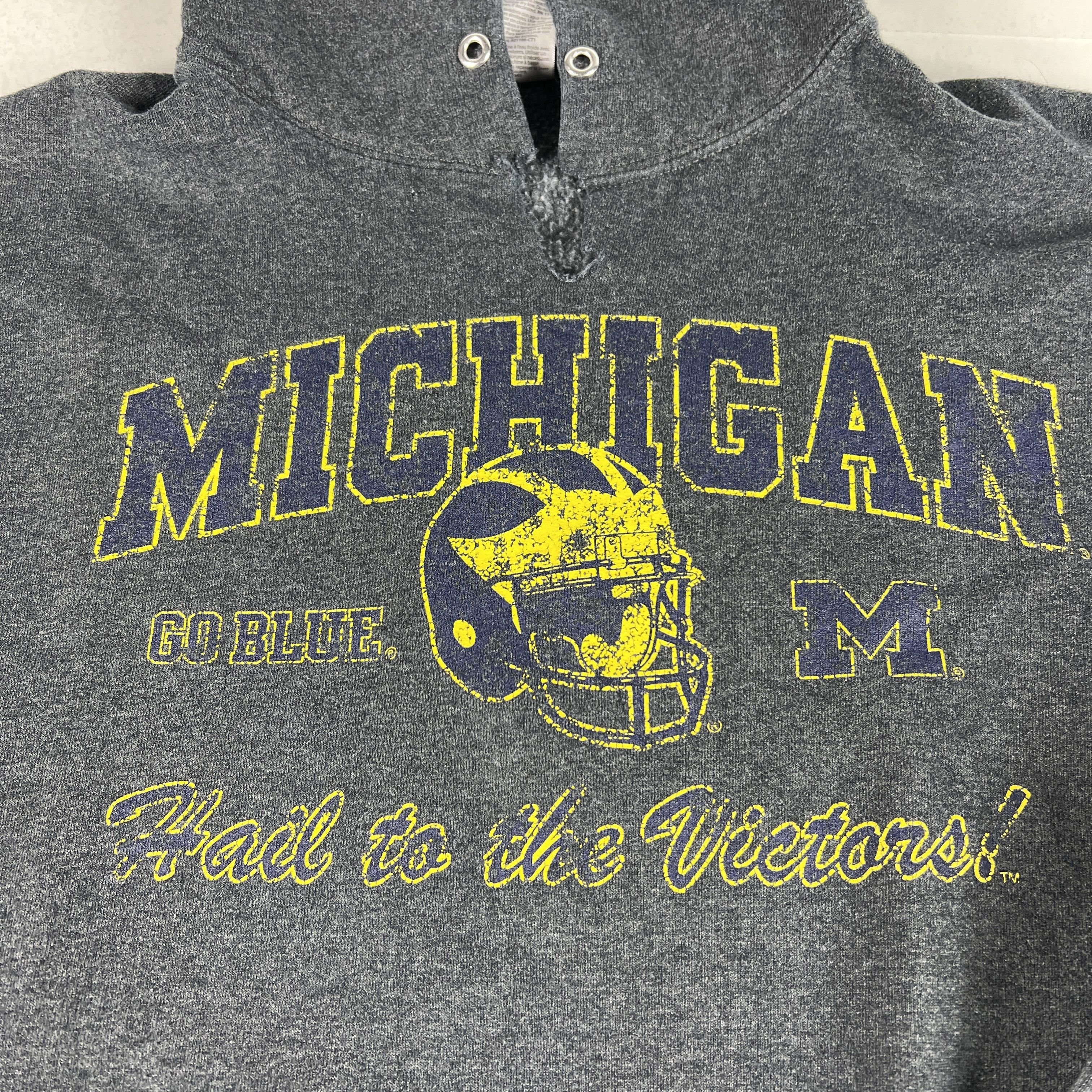 Jerzees × NCAA Y2K Jerzees Michigan Wolverines Sweatshirt Distressed Hoodie Size US M / EU 48-50 / 2 - 5 Thumbnail