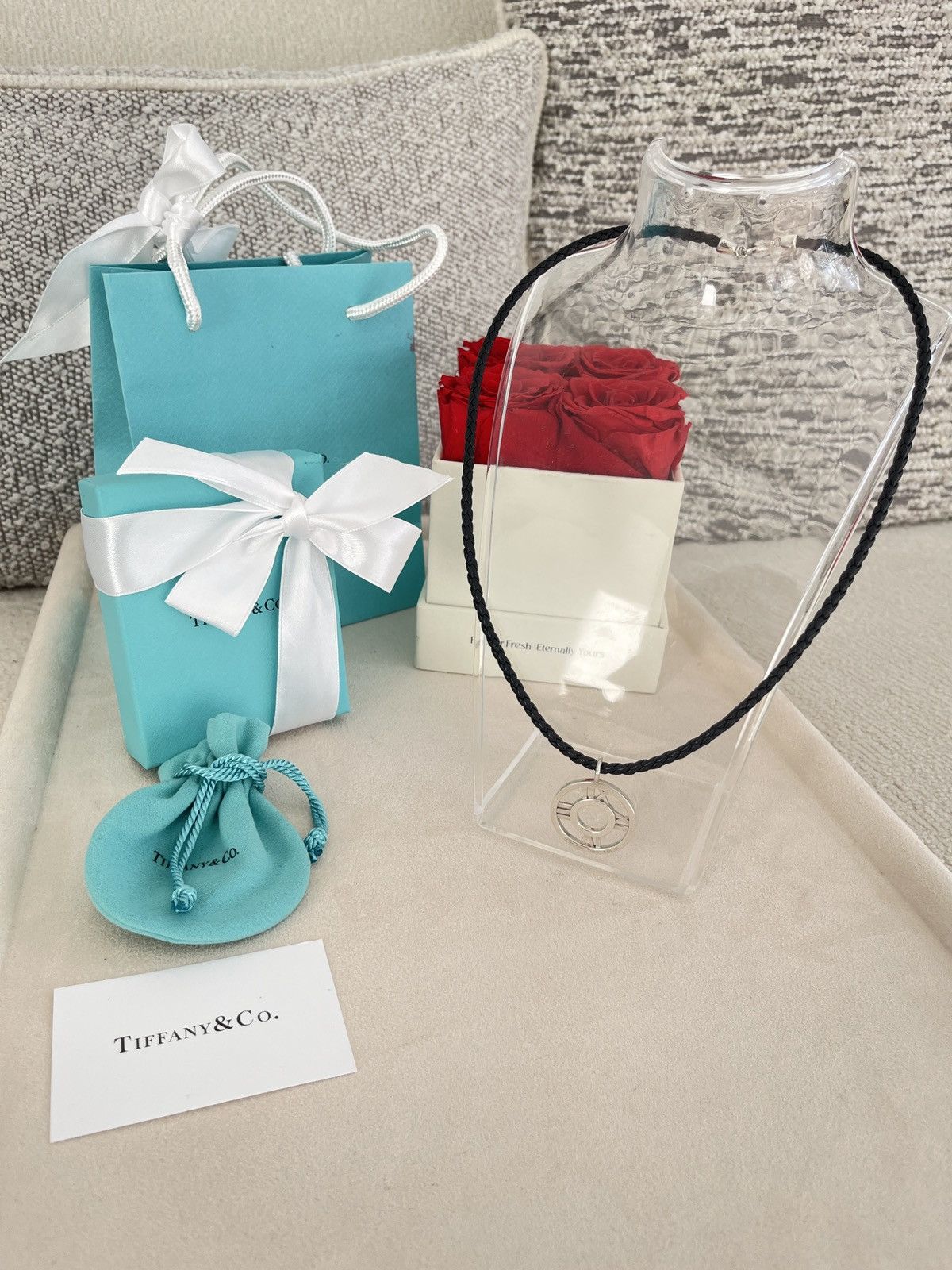 Tiffany & Co. Tiffany & Co. Atlas Charm on Leather Cord sz. 19.5 NEW Size ONE SIZE - 8 Thumbnail