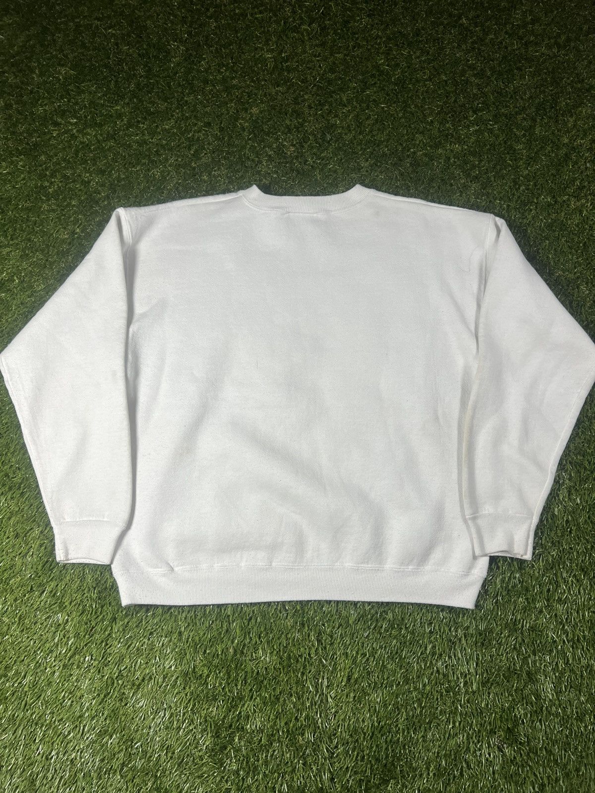 American Eagle Outfitters Vintage 90s American Eagle Nature Cardinal Art Boxy Crewneck Size US XL / EU 56 / 4 - 3 Thumbnail
