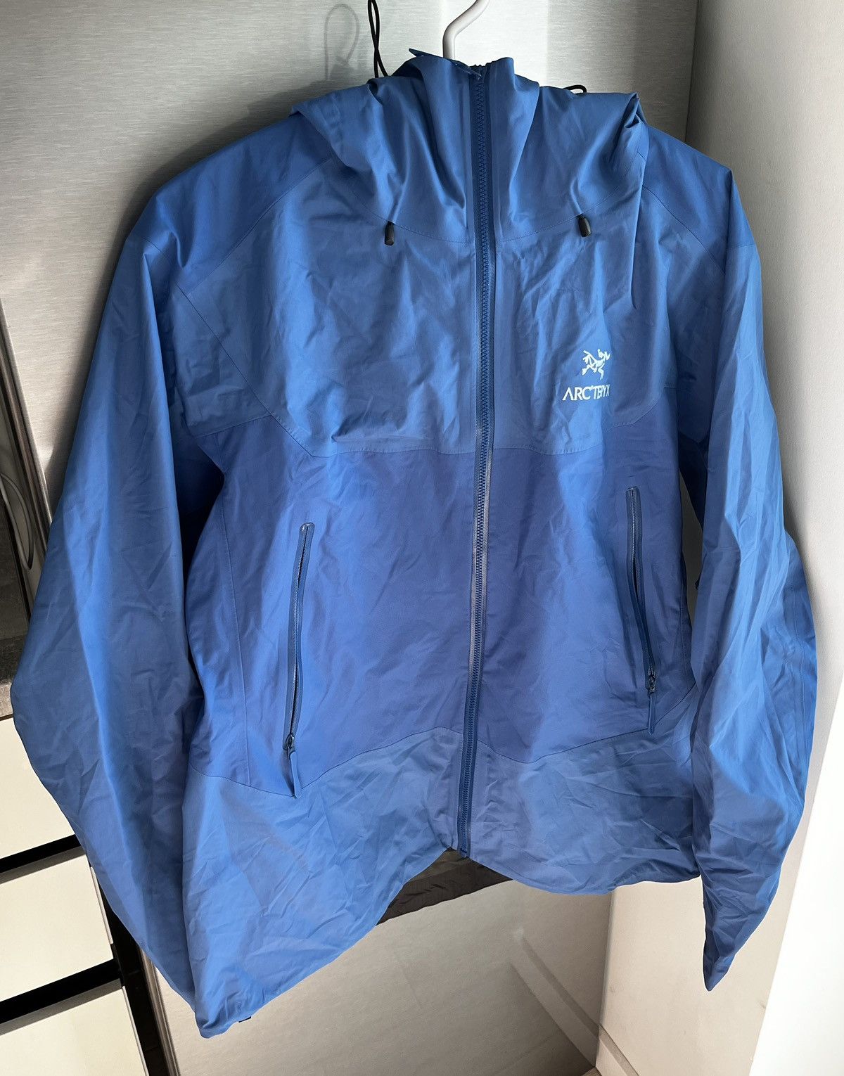 Arc'teryx × Goretex Arctery Beta SL Hybrid Gore Tex Hooded Jacket Womens Size L / US 10 / IT 46 - 4 Thumbnail