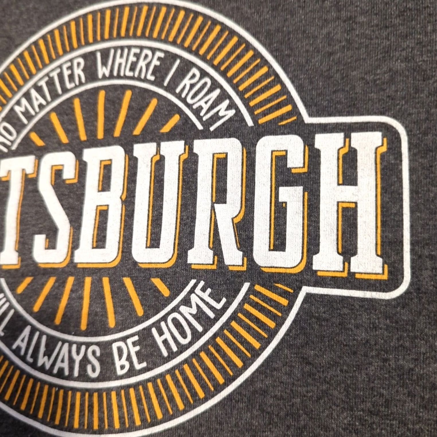 Delta Nike Pittsburgh Shirt L Mens Gray Solid Cotton Knit Size US L / EU 52-54 / 3 - 5 Thumbnail