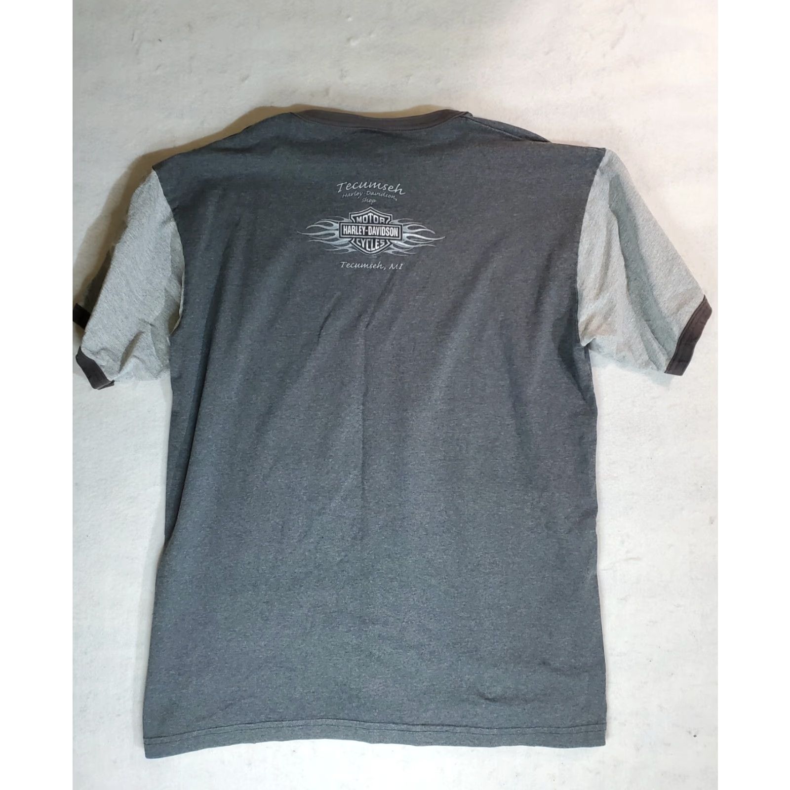 Harley Davidson Harley-Davidson Signature T-shirt Mens XL Gray Short Sleeve Crew Neck Size XL Regular Fit Size US XL / EU 56 / 4 - 4 Thumbnail