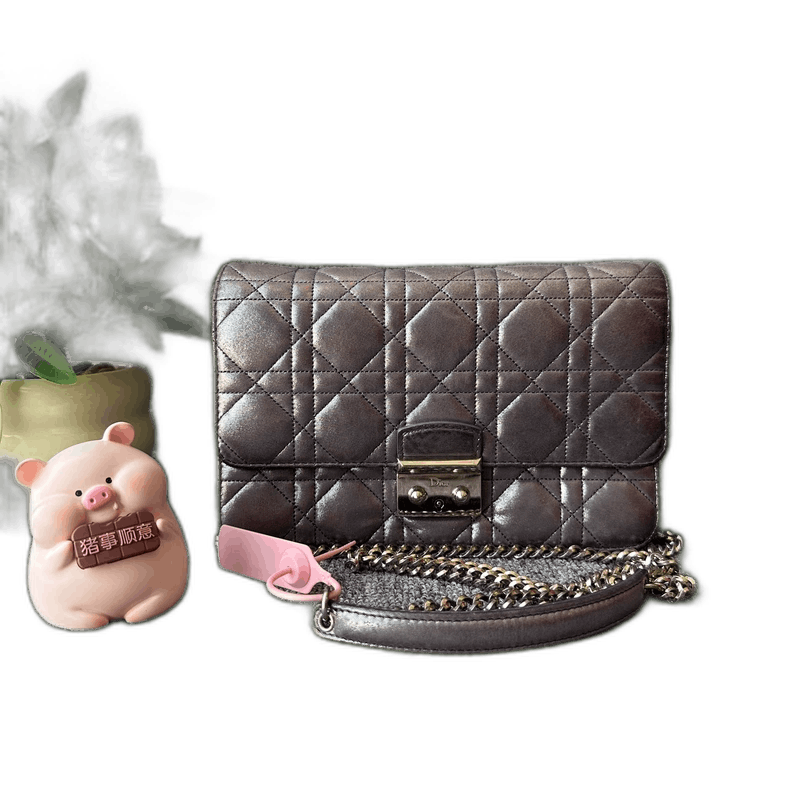 Dior Removable Chain Shoulder Bag in Purple