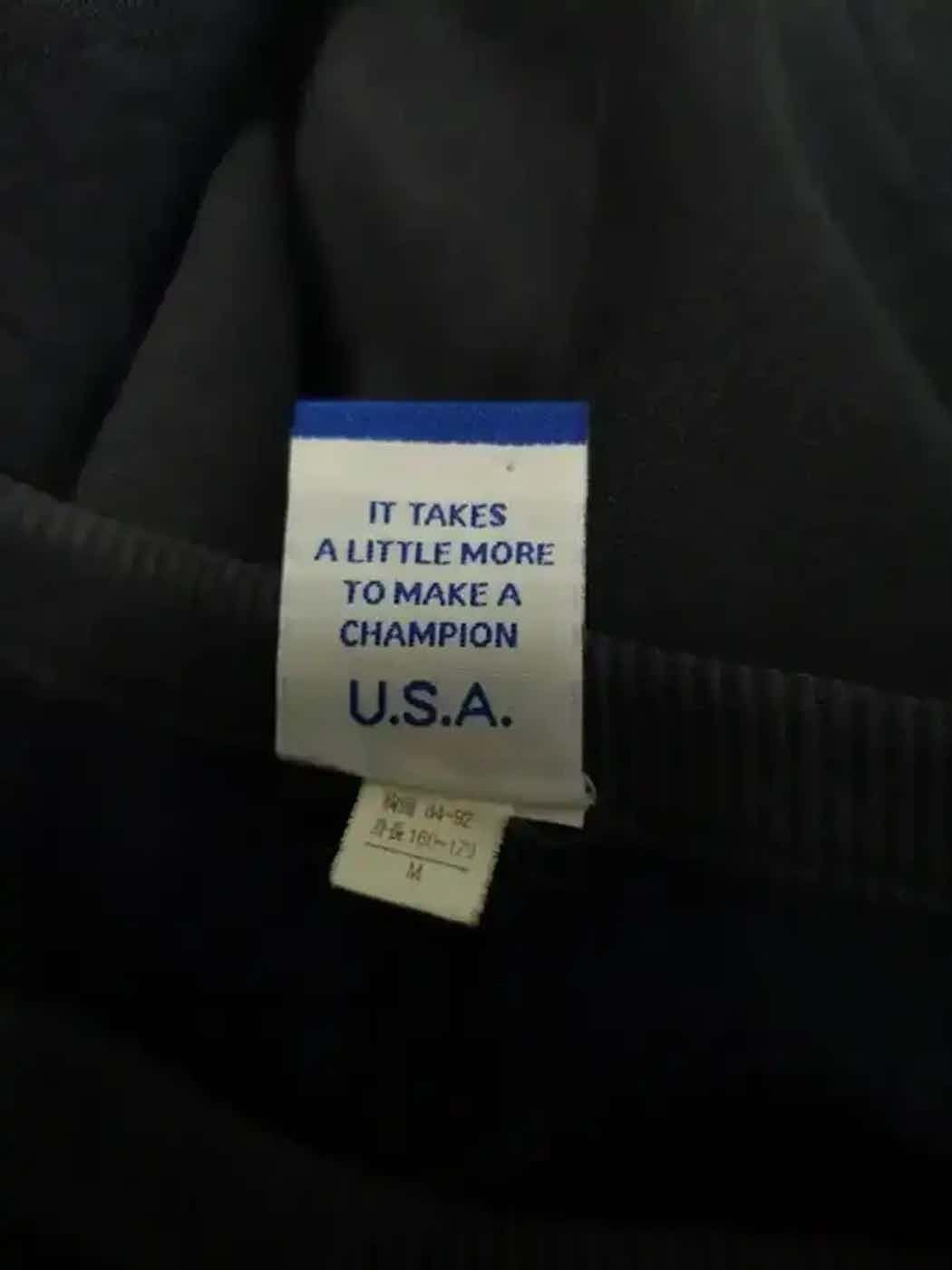 Champion Vintage Champion Authentic Athletic Apparel Sweatshirt Size US M / EU 48-50 / 2 - 4 Thumbnail