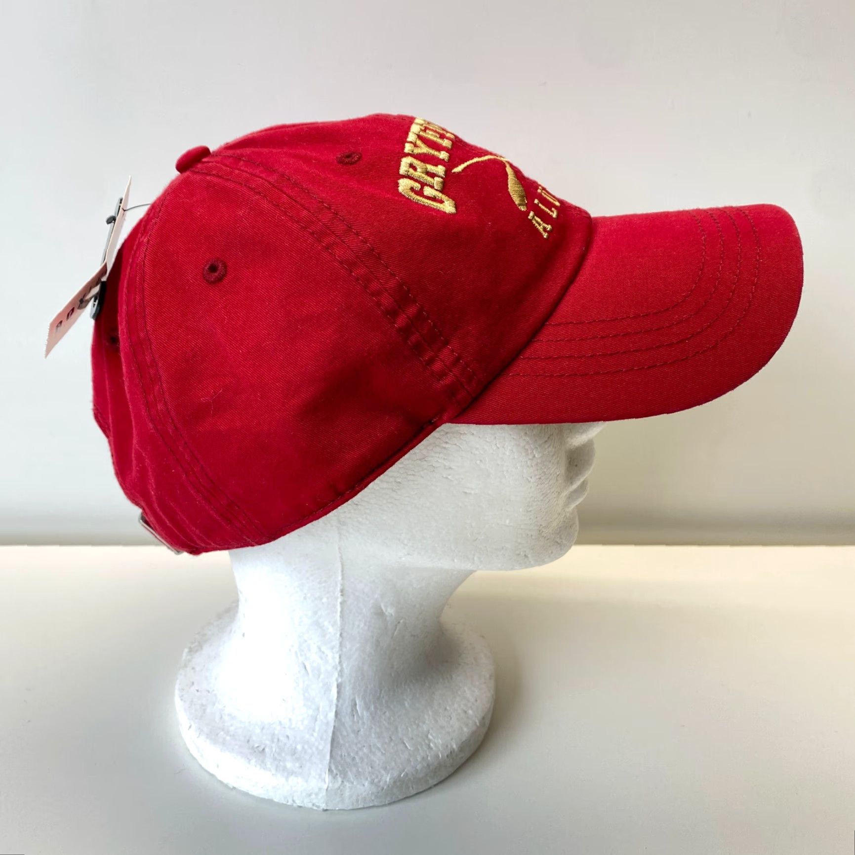 Vintage Harry Potter Gryffindor Alumni Hogwarts Strapback Dad Hat Red NEW Baseball Cap Unisex Adults Adjustable Size Cotton Hat Size ONE SIZE - 3 Thumbnail