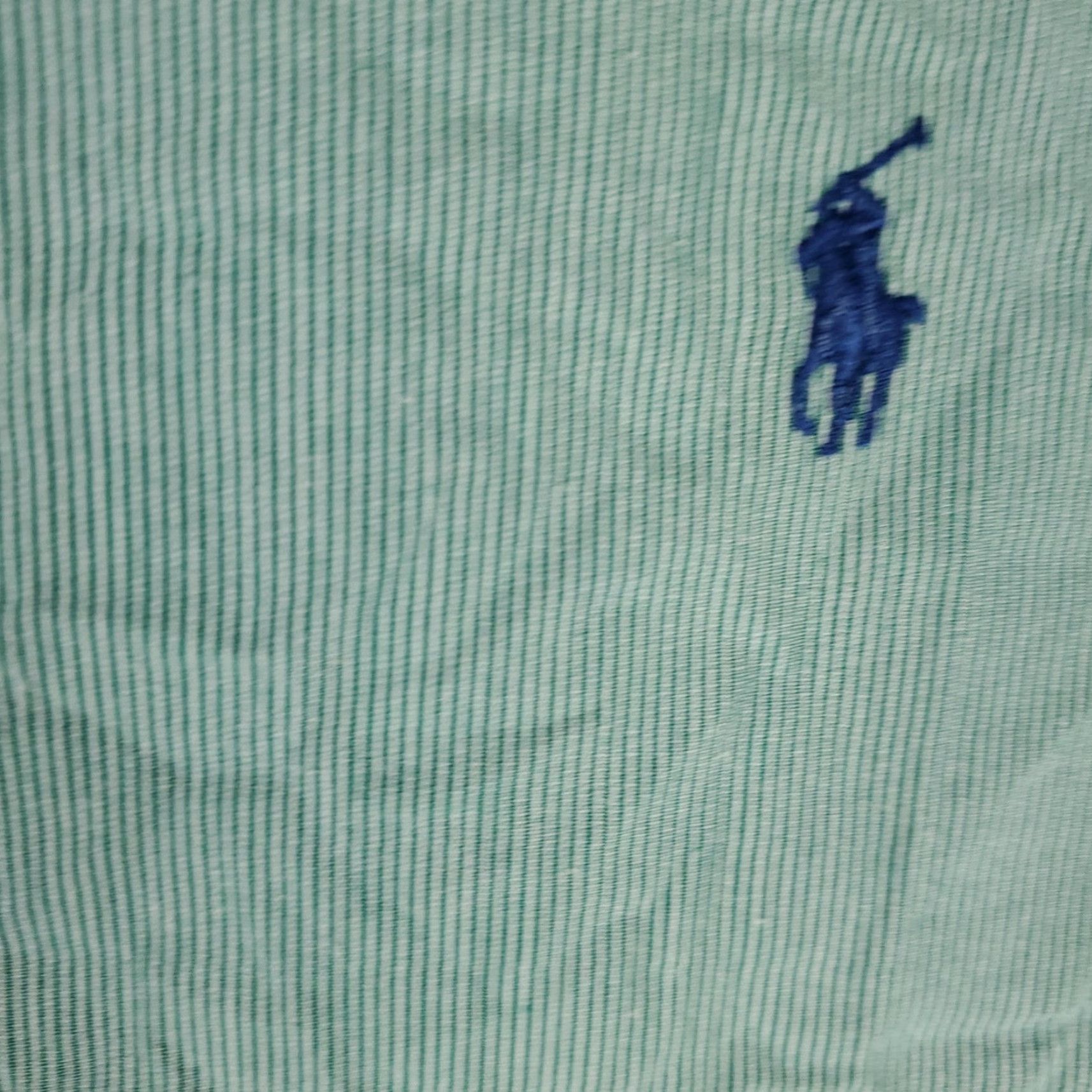 Ralph Lauren Ralph Lauren Dress Shirt Men's 18 Green Pony Button-Down Long Sleeve Non-Iron 100% Cotton Regular Size 18 Mens Size 48R - 3 Thumbnail