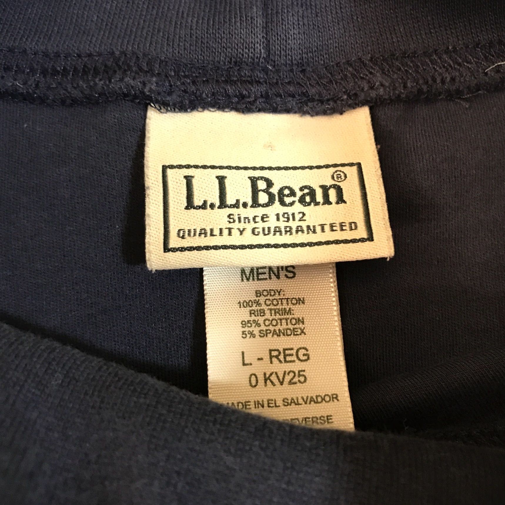 Vintage LL Bean Mens Stretch Mock Neck Turtleneck Long Sleeve Casual Base Layer Pullover Blue Large Regular Knit Sweatshirt Outdoor 90s? (No) - wait. Size US L / EU 52-54 / 3 - 2 Thumbnail