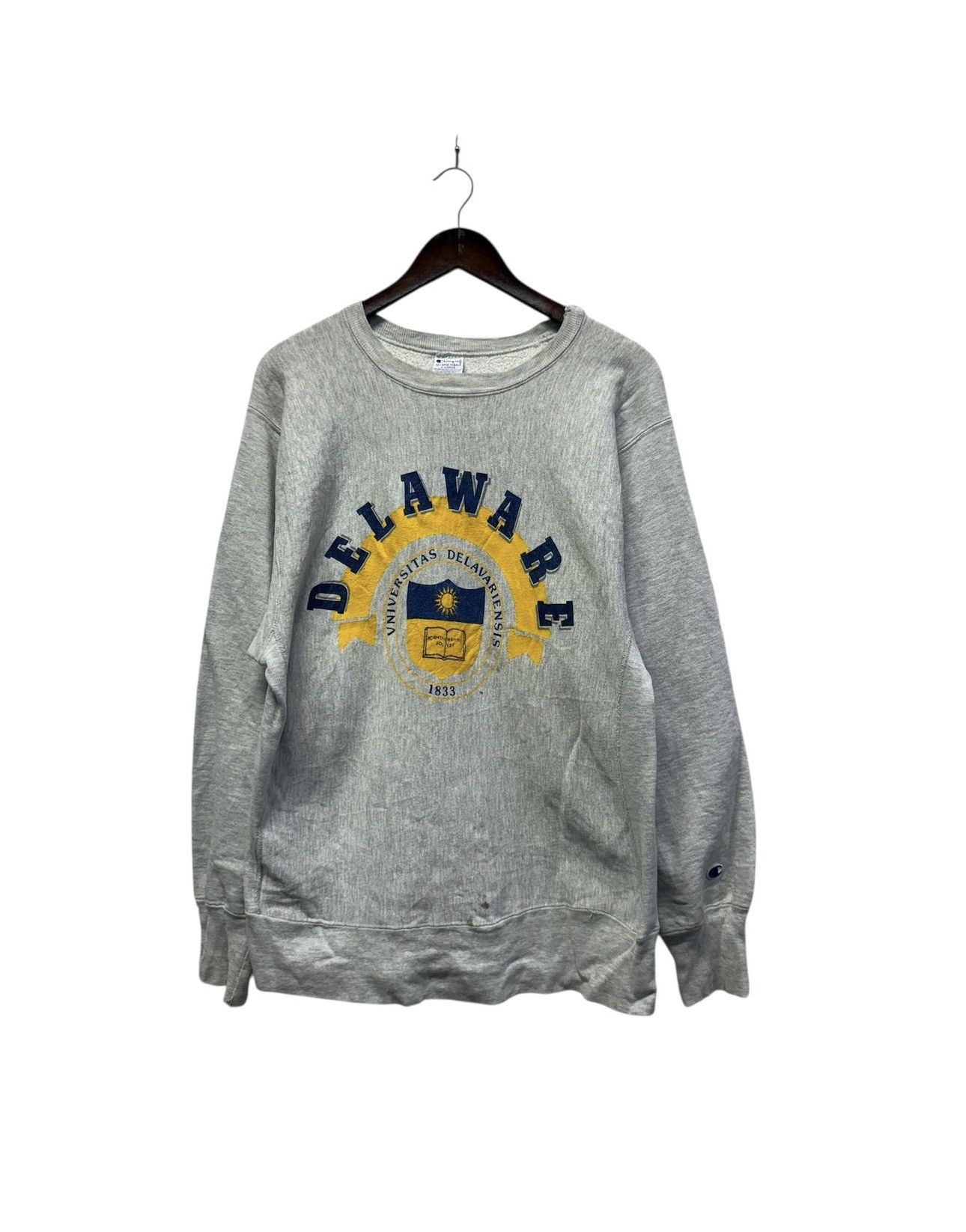 Champion Vintage 90s champion reverse weave delaware university Size US L / EU 52-54 / 3 - 1 Thumbnail
