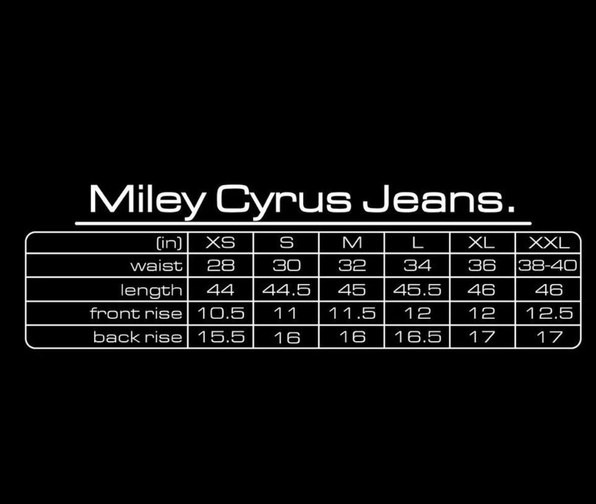 The GV Gallery GV Gallery Raspberry Flared Miley Cyrus Denim Size US 36 / EU 52 - 3 Thumbnail