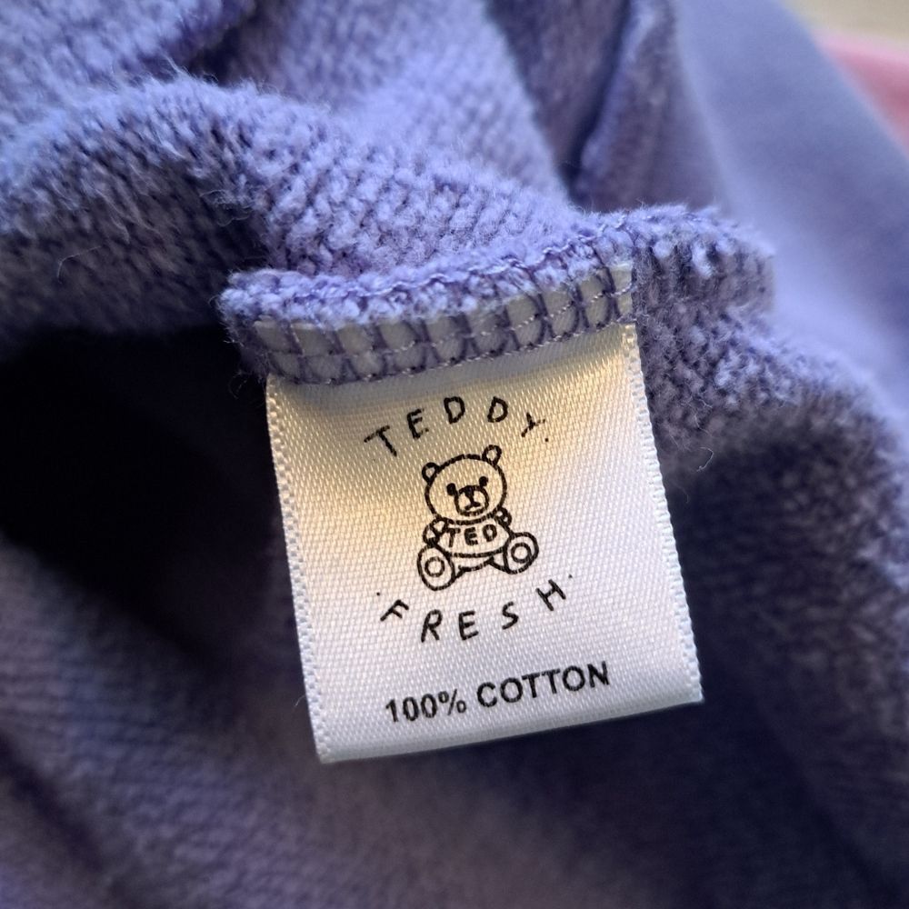 Teddy Fresh Teddy Fresh Pastel Hoodie Logo Patch Retro Y2K Sweater XS Mu Size XS / US 0-2 / IT 36-38 - 4 Thumbnail