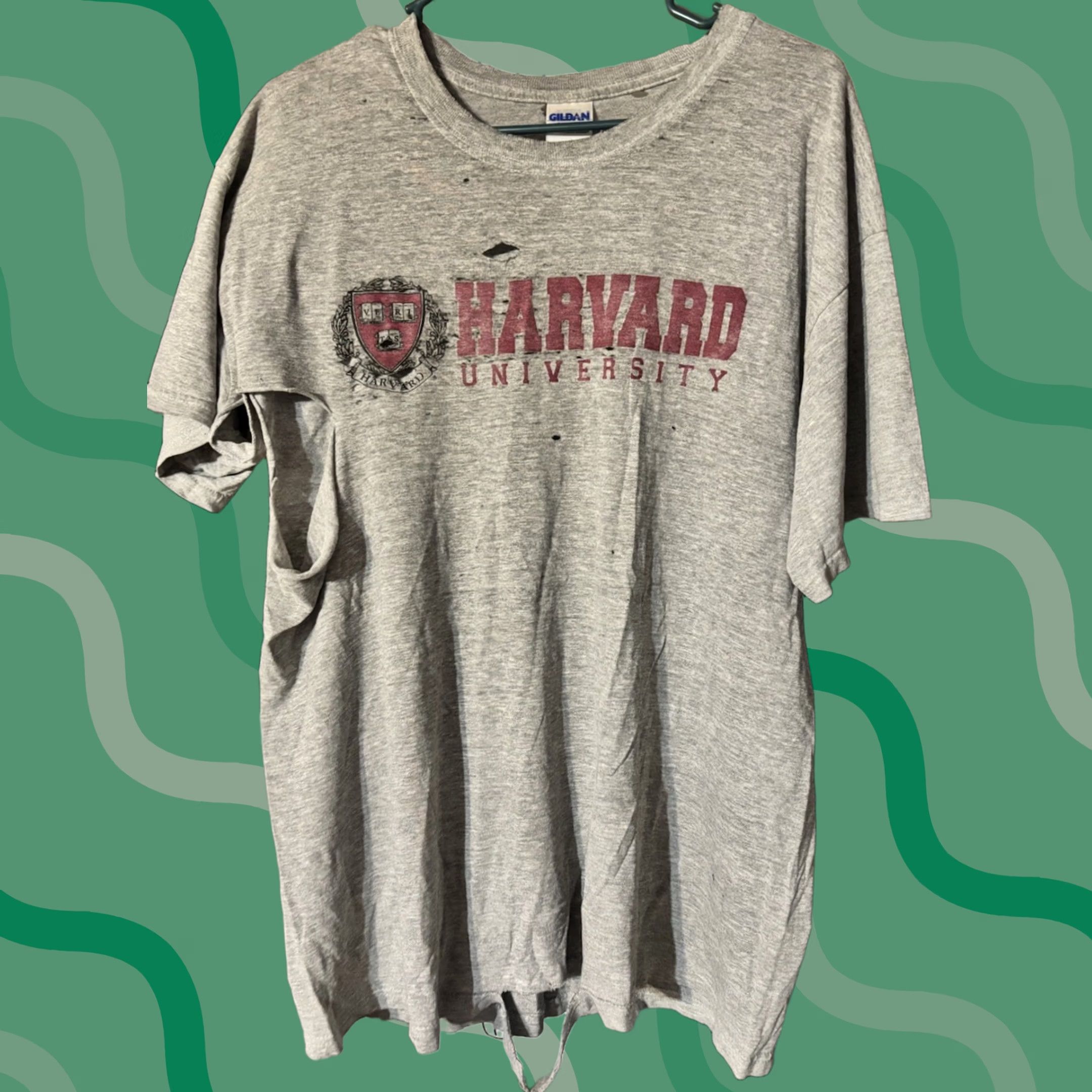 Jansport VINTAGE Harvard Shirt Grunge Thrashed Distressed L Gray 1990s Graphic Tee Cotton Size US L / EU 52-54 / 3 - 1 Thumbnail