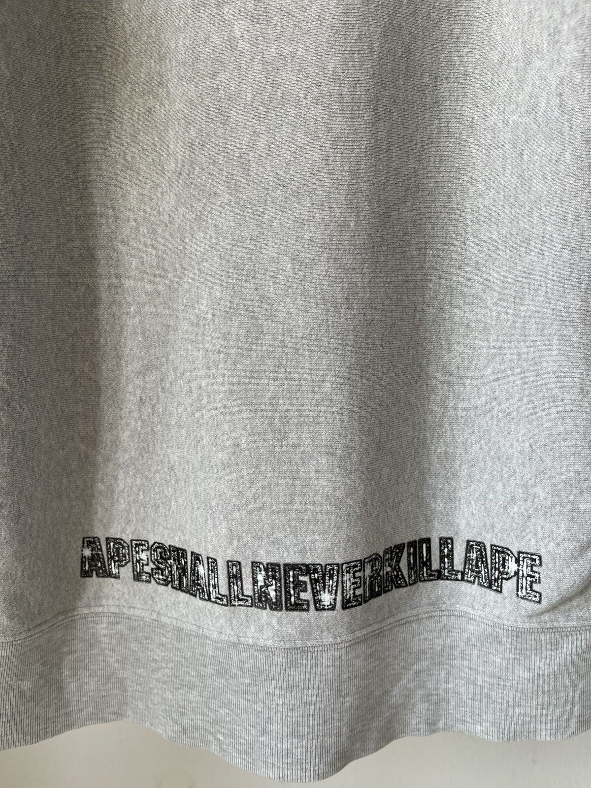 Bape 1999 Bape 'Cash Money Record' Bling Logo Hoodie A2 Size US L / EU 52-54 / 3 - 6 Thumbnail