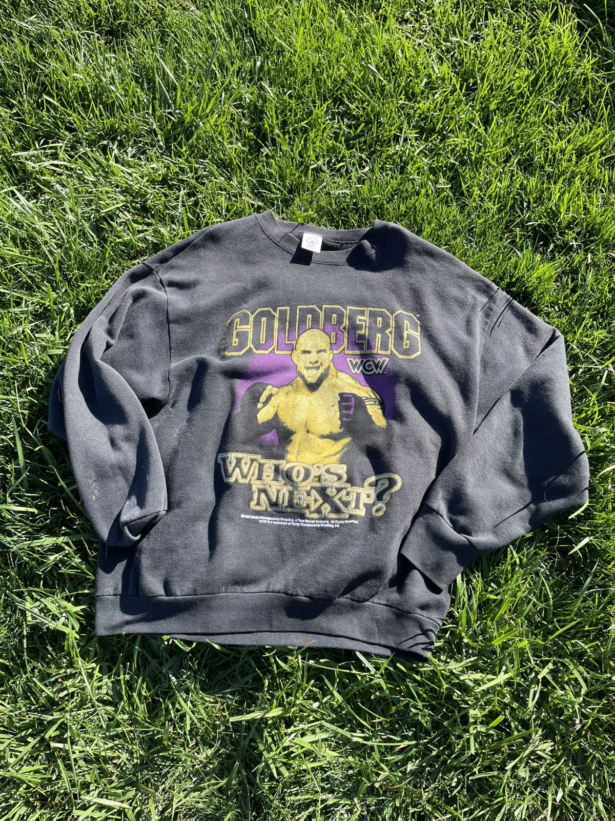Delta 1996 WWE Vintage Goldberg Crewneck Size US XL / EU 56 / 4 - 1 Thumbnail