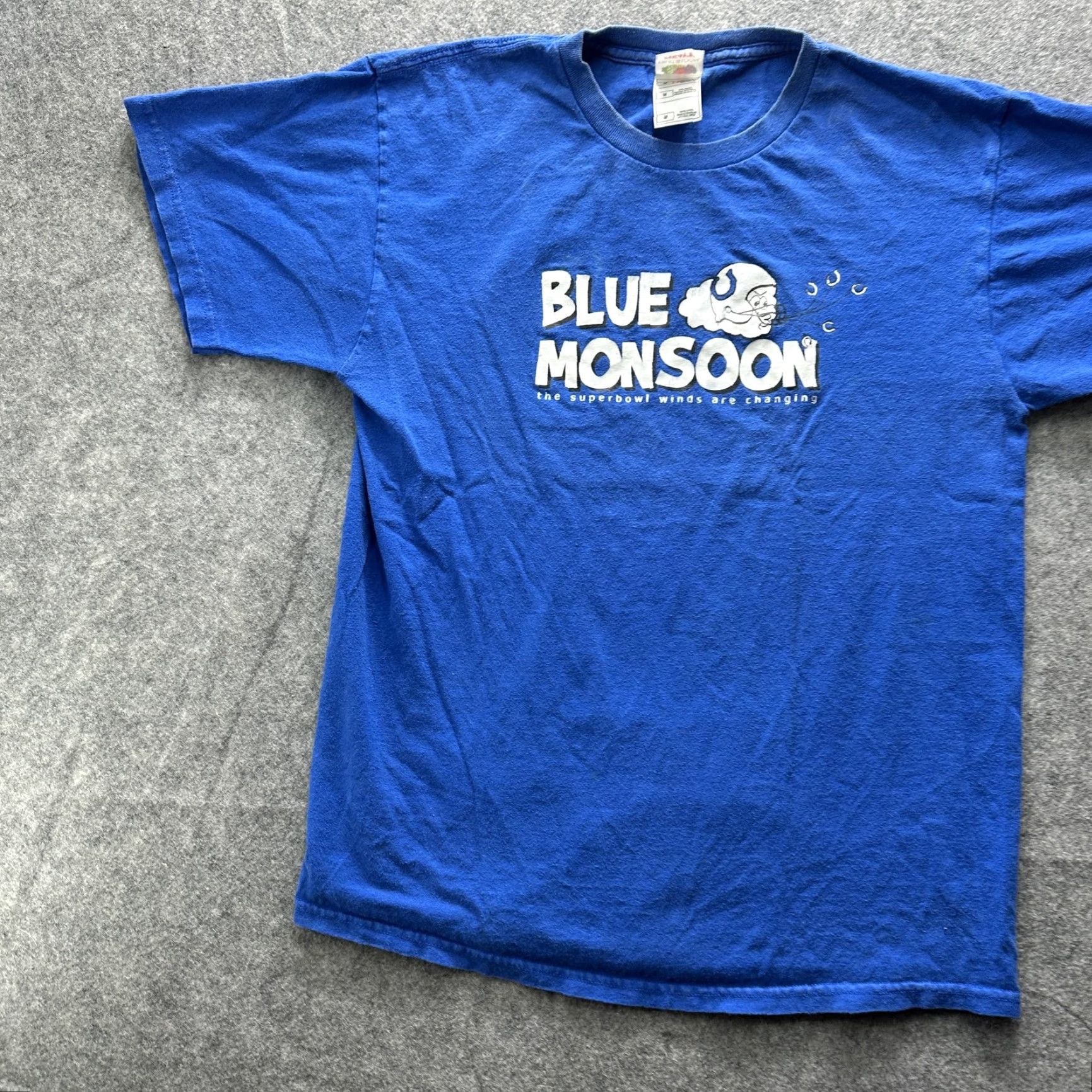 Fruit Of The Loom Fruit of the Loom Shirt Mens Medium Blue Football Graphic Tee Monsoon Blue Monsoon Football Owl Graphic Crew Neck Short Sleeve Heavyweight Cotton Size US M / EU 48-50 / 2 - 3 Thumbnail