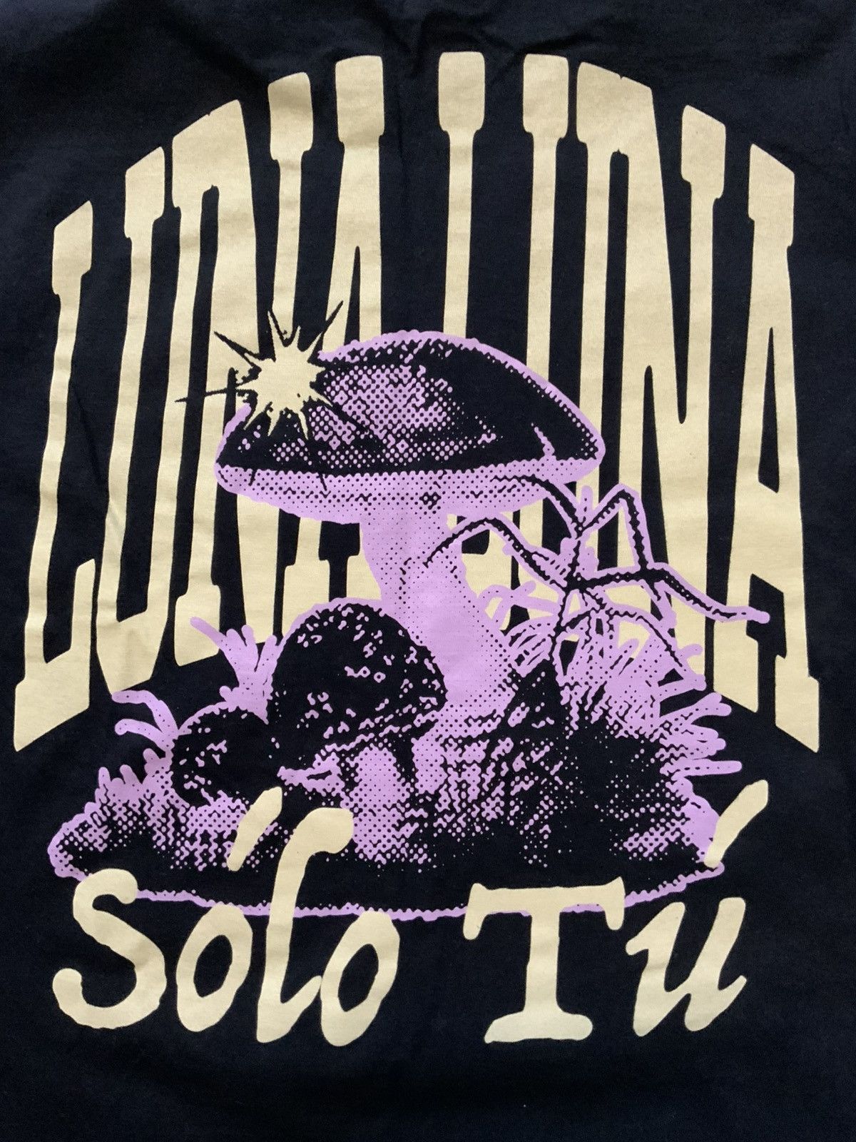 Band Tees × Comfort Colors Luna Luna Solo Tu Mushrooms Rock Band Merch S/S Crew T-Shirt Size US M / EU 48-50 / 2 - 7 Thumbnail