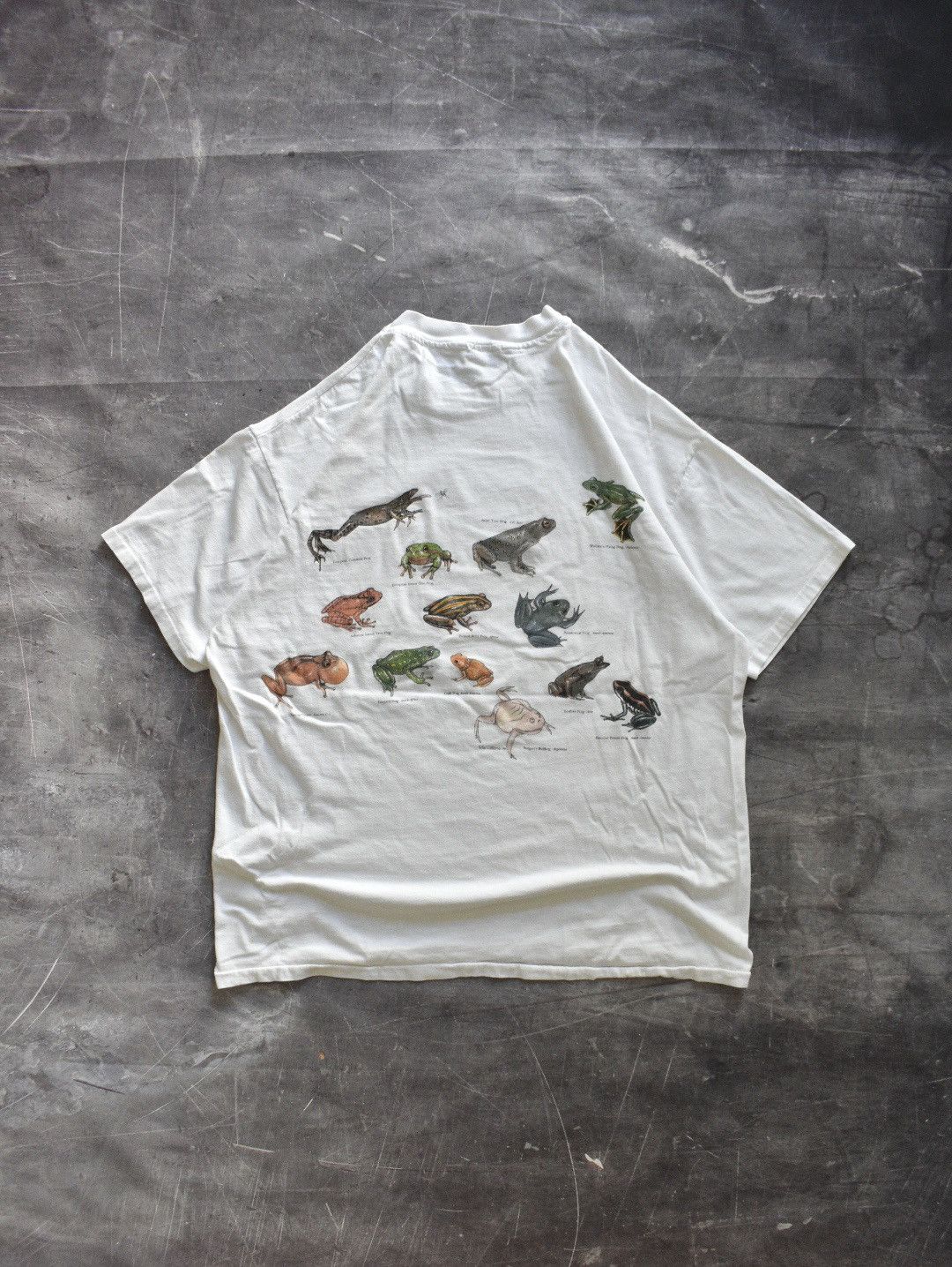 Vintage Vintage 90s ‘Frogs of the World’ T-Shirt (L) Size US L / EU 52-54 / 3 - 2 Thumbnail
